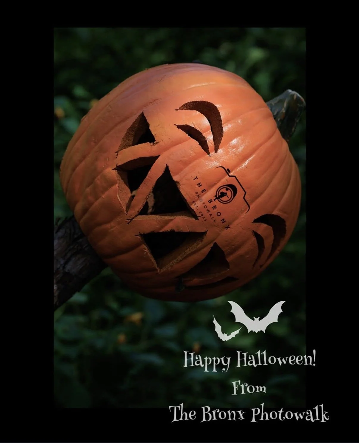 Carmen De La Cruz @nemracsphotos