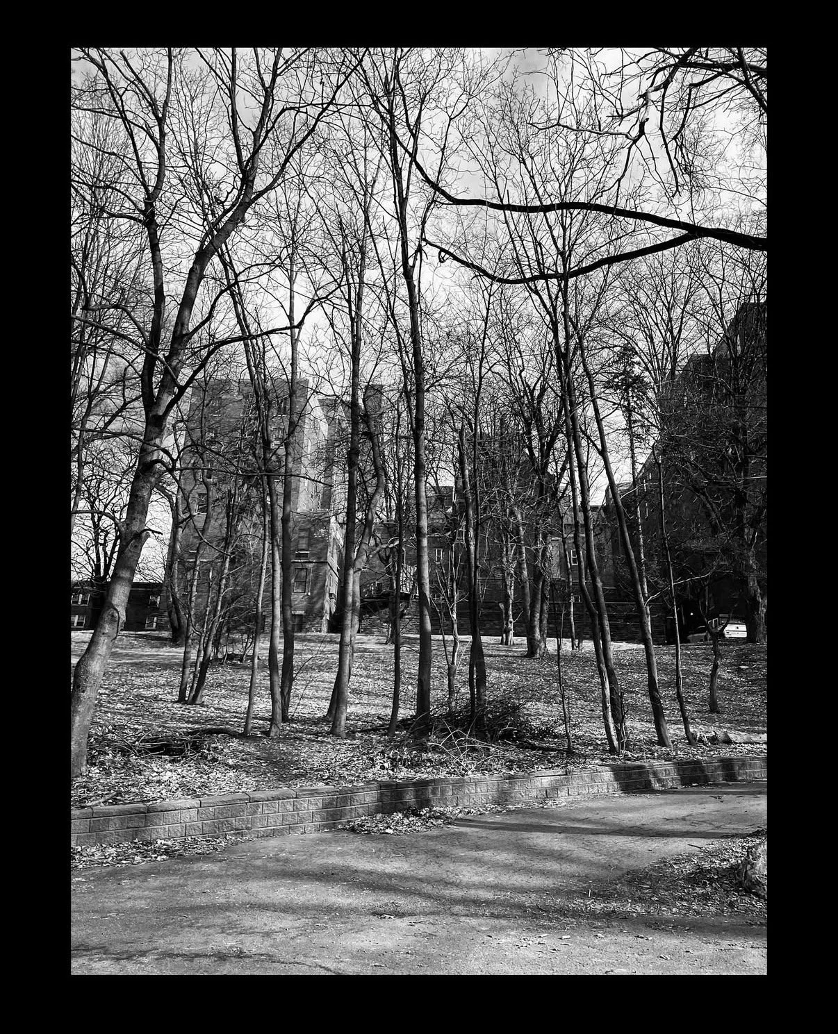 Carmen De La Cruz @nemracsphotos