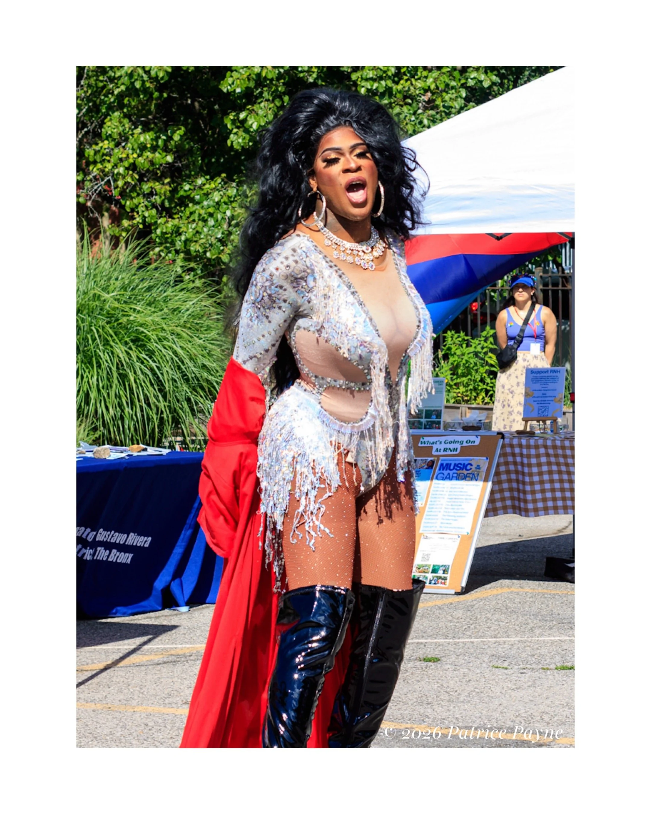 Patrice Payne @pjpayne.art
