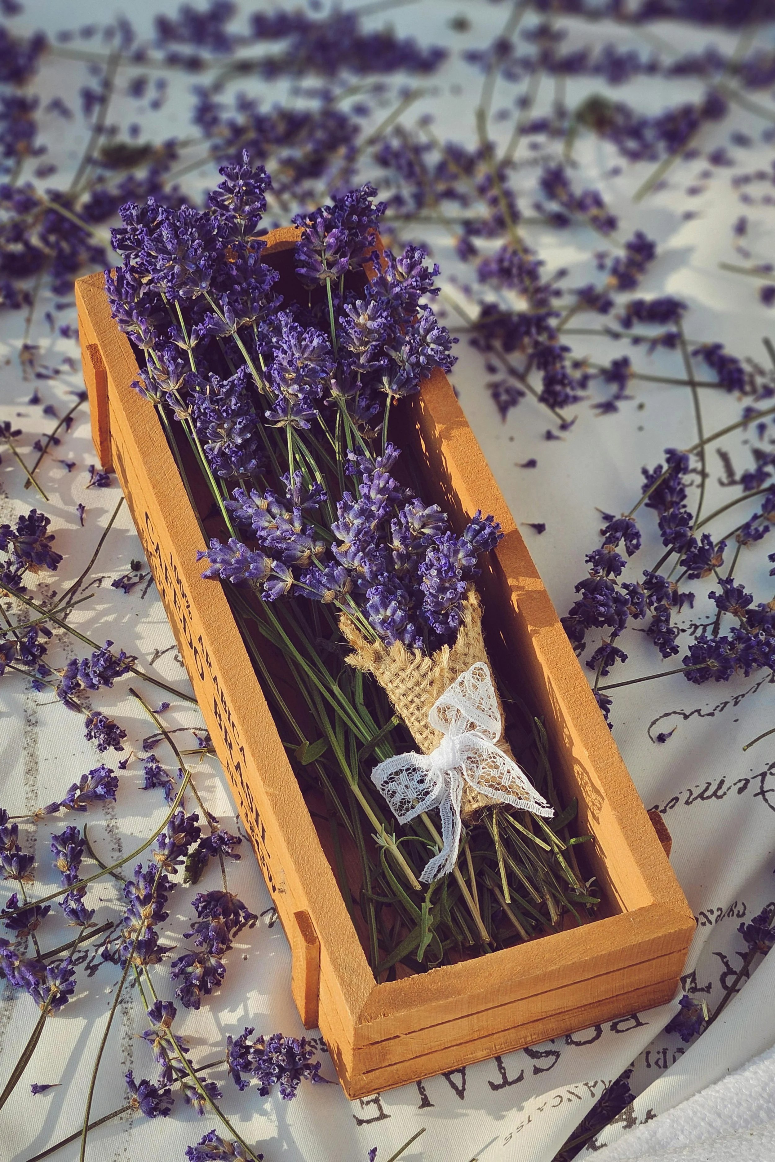 A bunch of fresh lavender flowers tied with a lace bow inside a wooden box, surrounded by scattered lavender sprigs on a white surface.