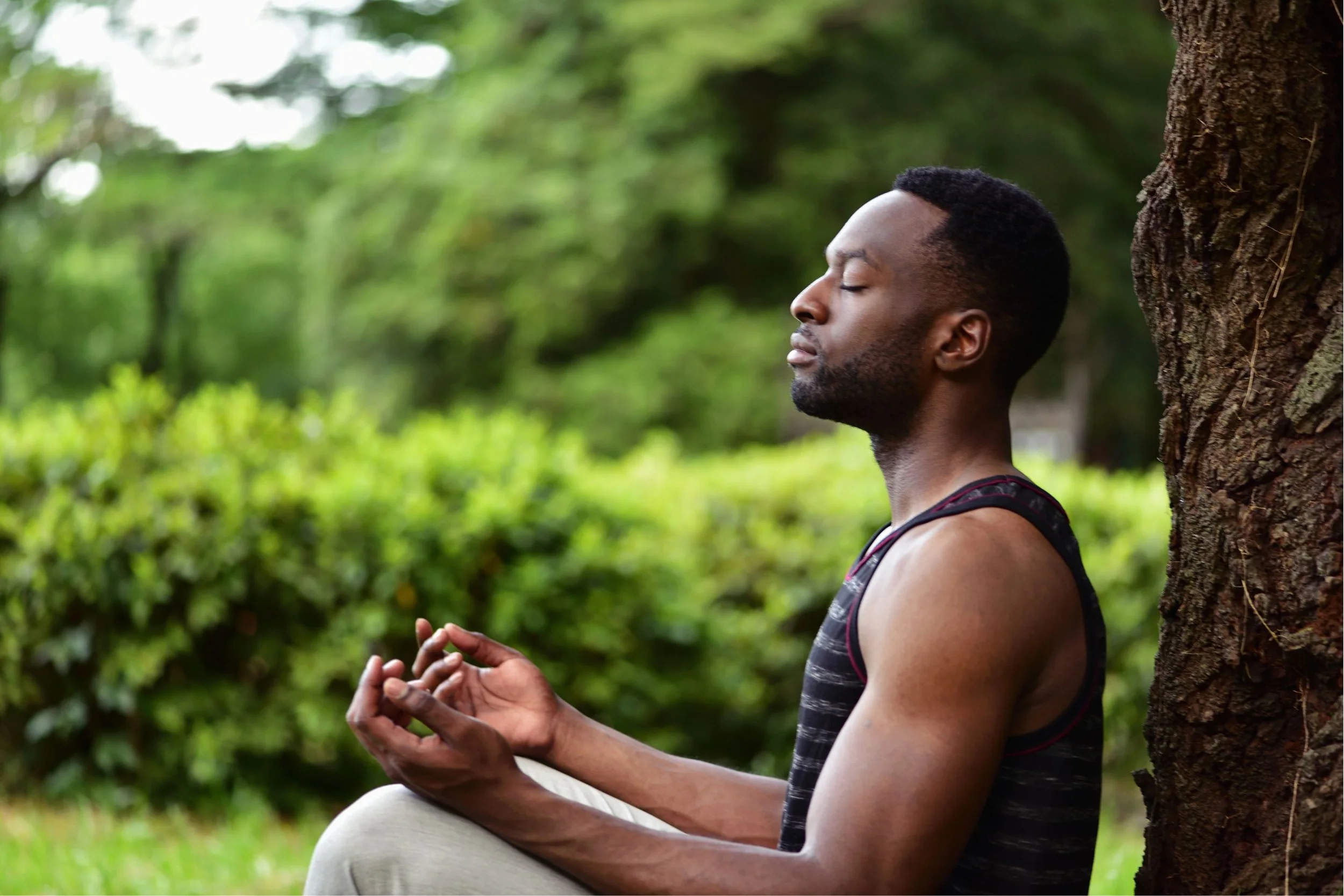 Forest Bathing: Reconnecting with Nature for Whole Person Wellness