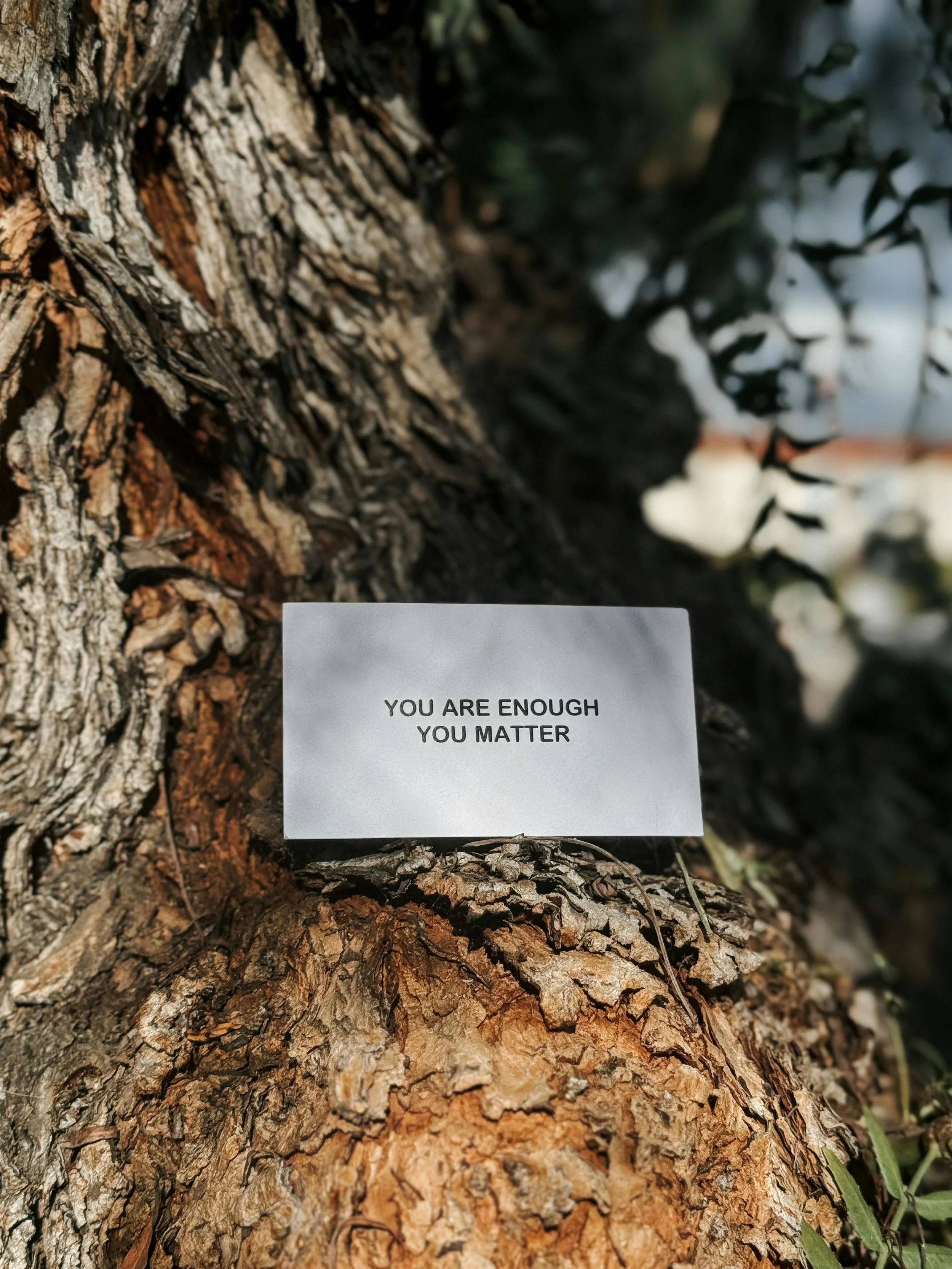 A close-up photo of the textured bark of a tree with a white note attached that reads "You are enough, you matter" in black text.