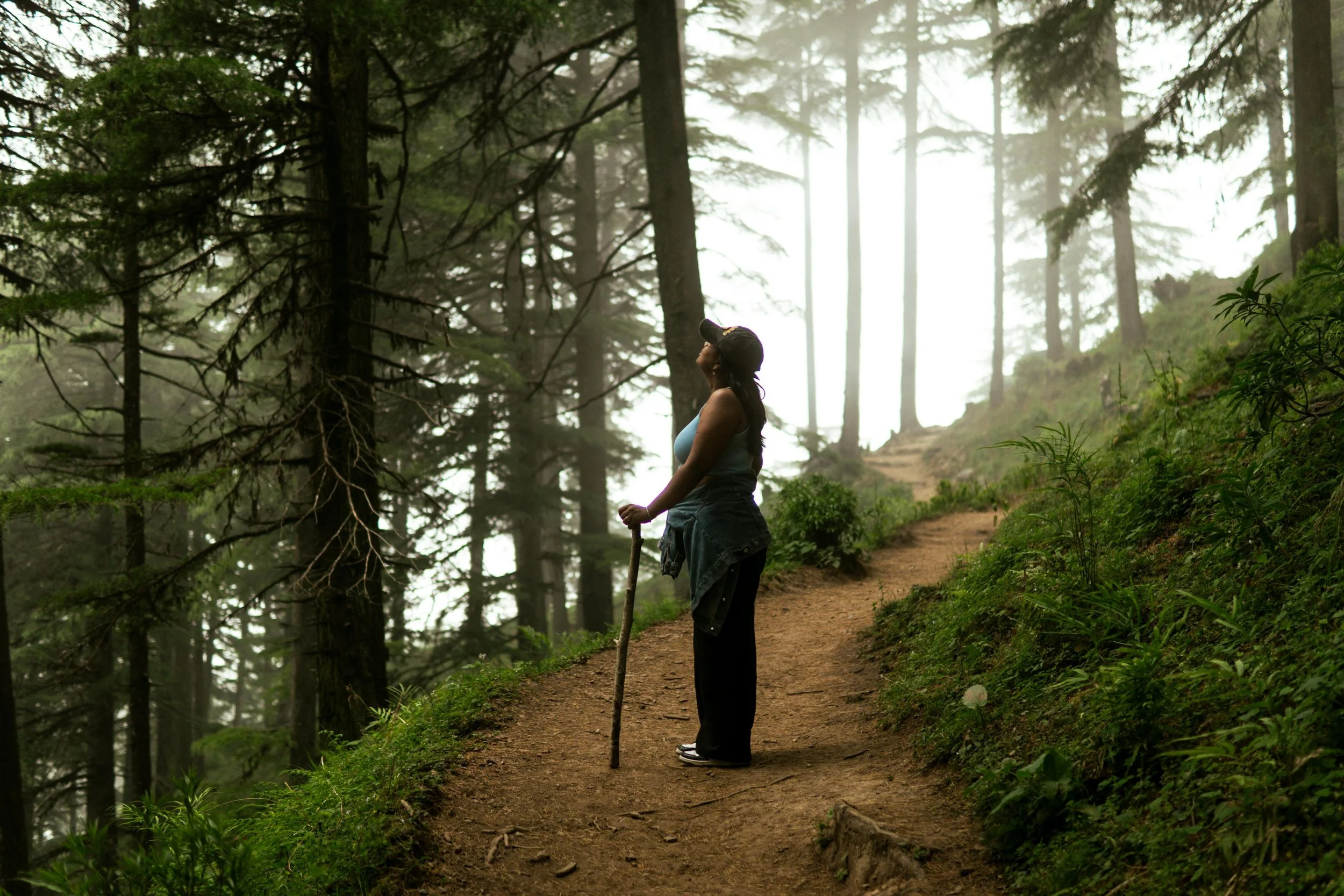 A woman immersed in nature forest bathing experience solitude and nervous system restoration