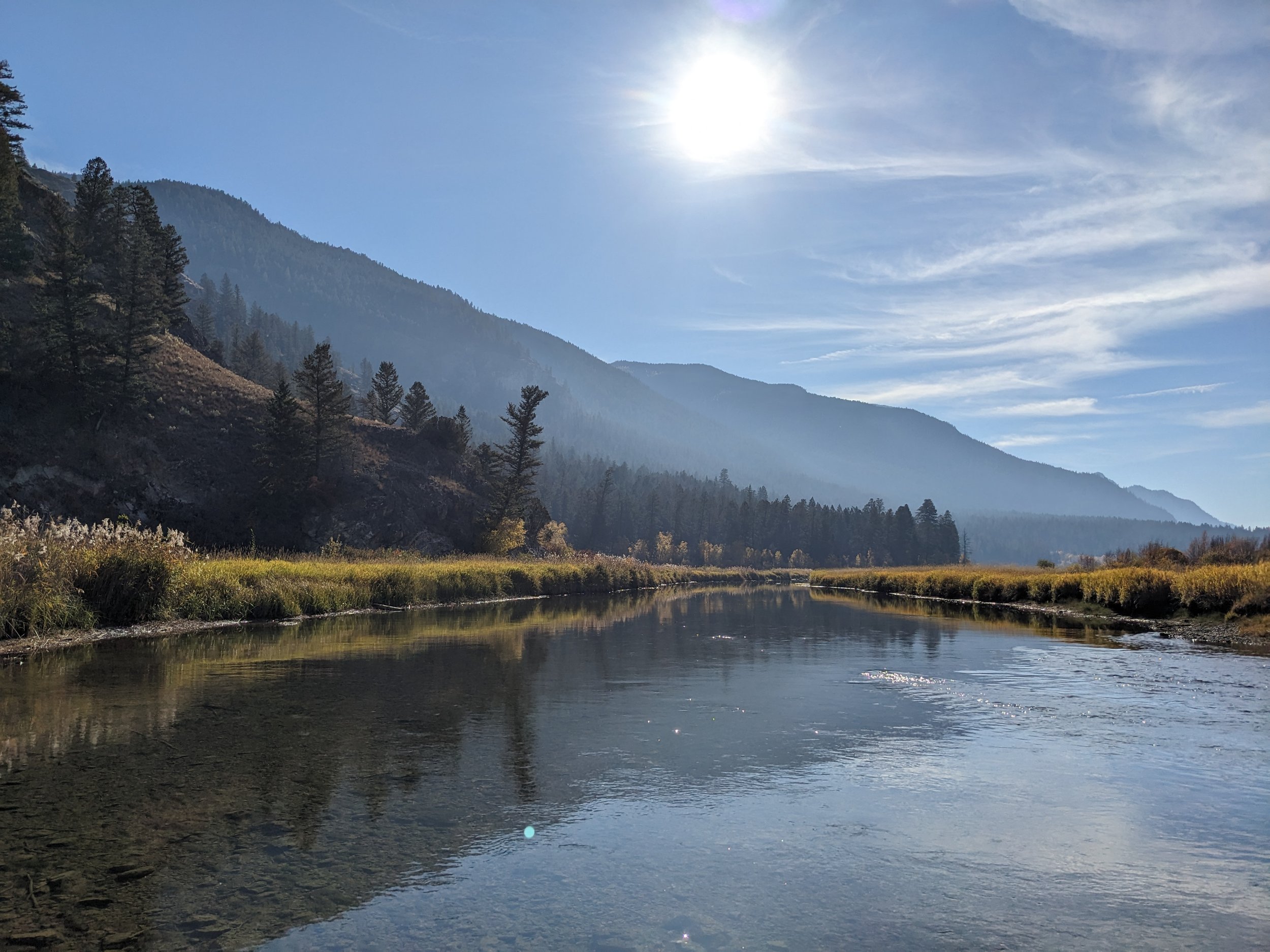 A scenic river flowing through a valley with tall trees and mountains in the background under a clear sky with the sun shining.