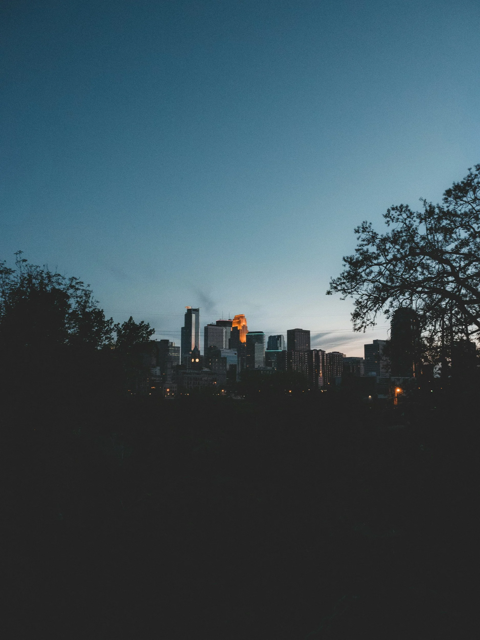 City skyline at dusk with tall buildings illuminated, silhouetted trees in the foreground, and a clear darkening sky.