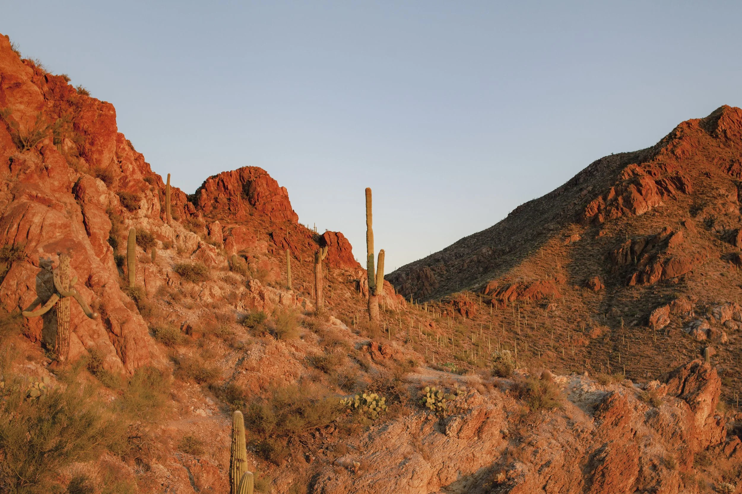desert landscape with cacti blue cross blue shield alaska california new hampshire nevada texas emdr trauma therapu for adults headway