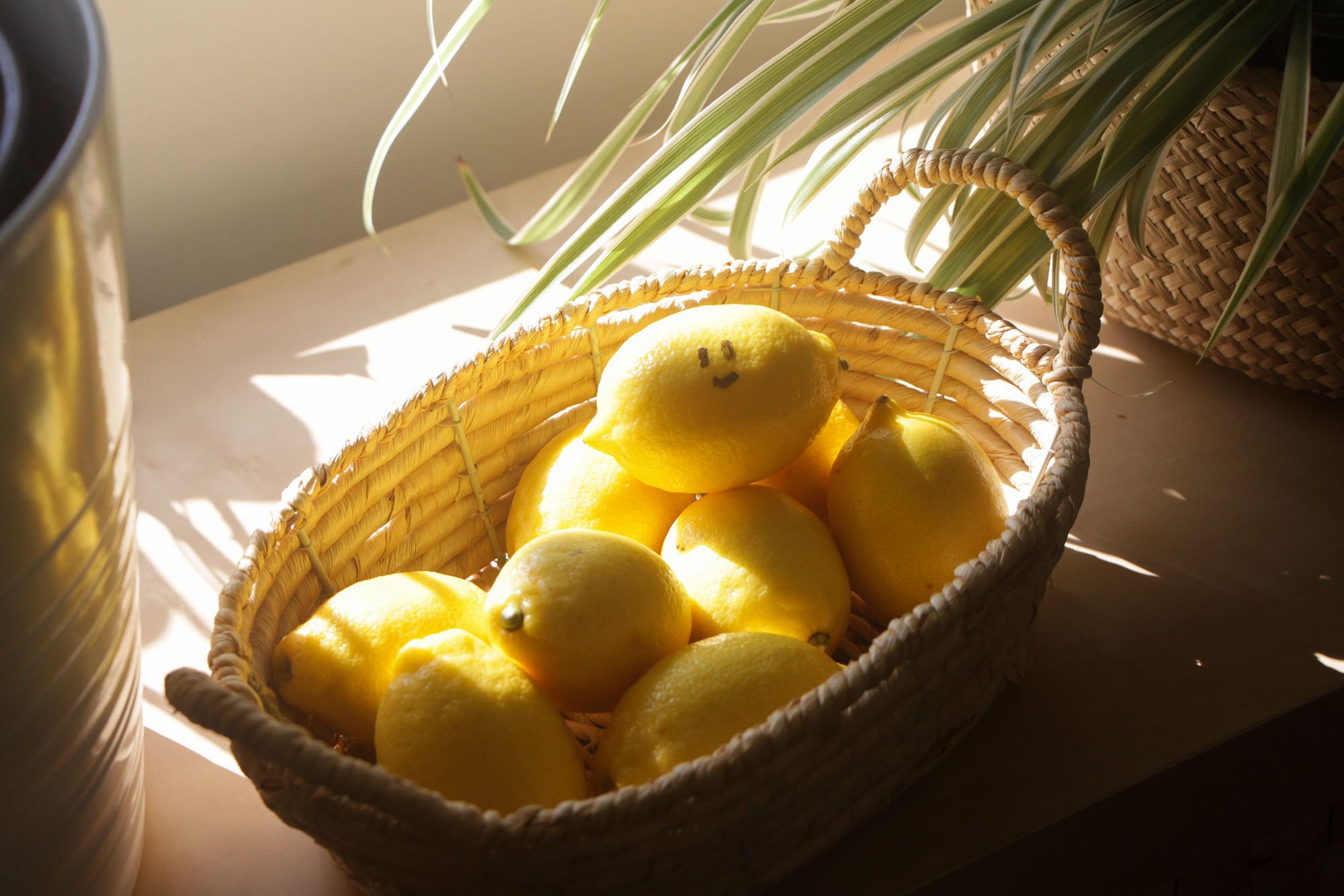 Vancouver Therapist Studio Space