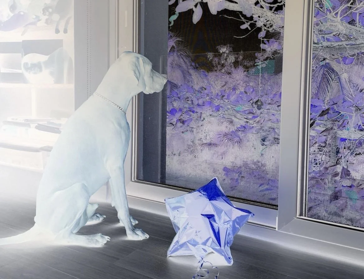 REFLEXIÓN Y EXPRESIÓN