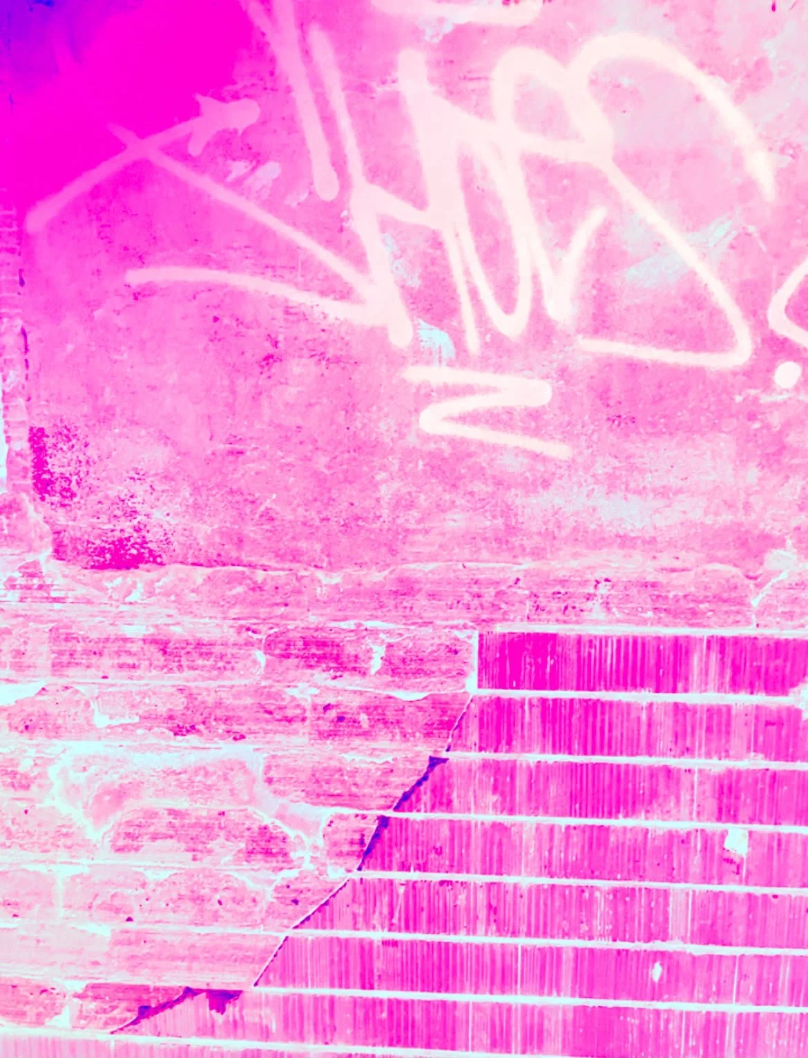PARED.jpeg