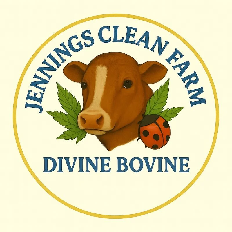 2oz Divine Bovine- Natural Tallow- 550mg