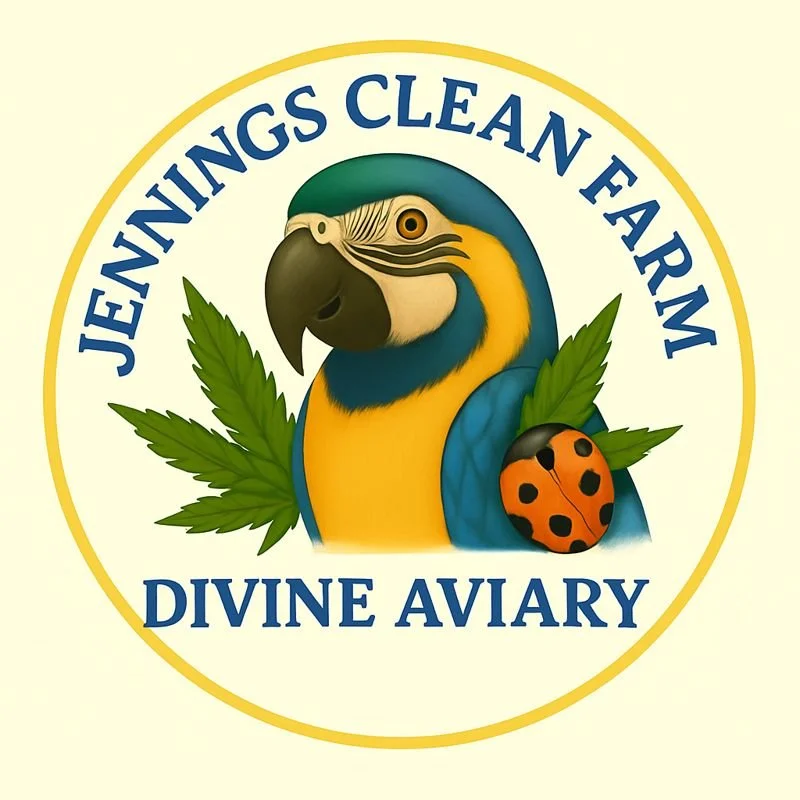 1oz Divine Aviary- 10.66mg