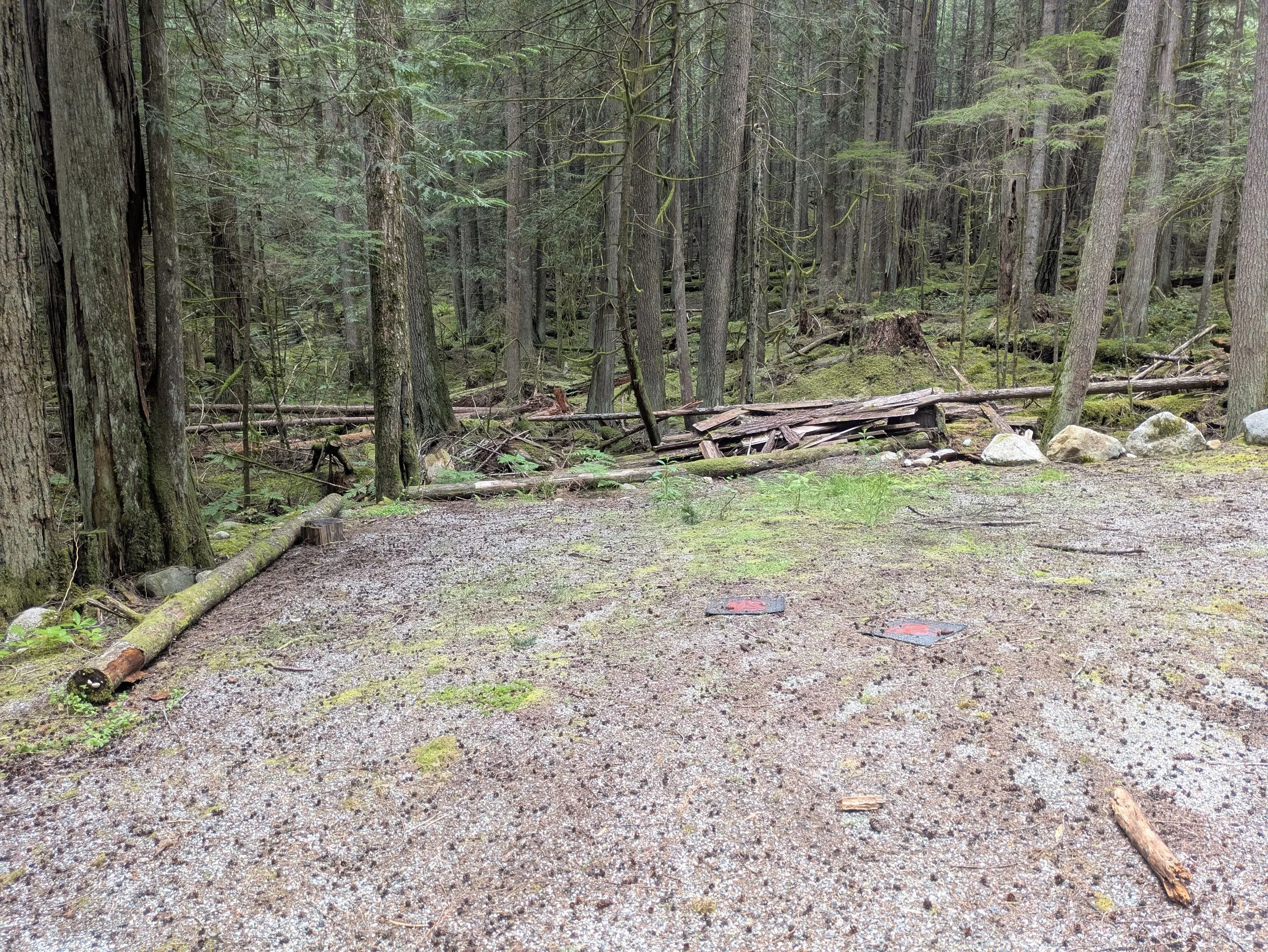 PXL_20260518_230331840.jpg