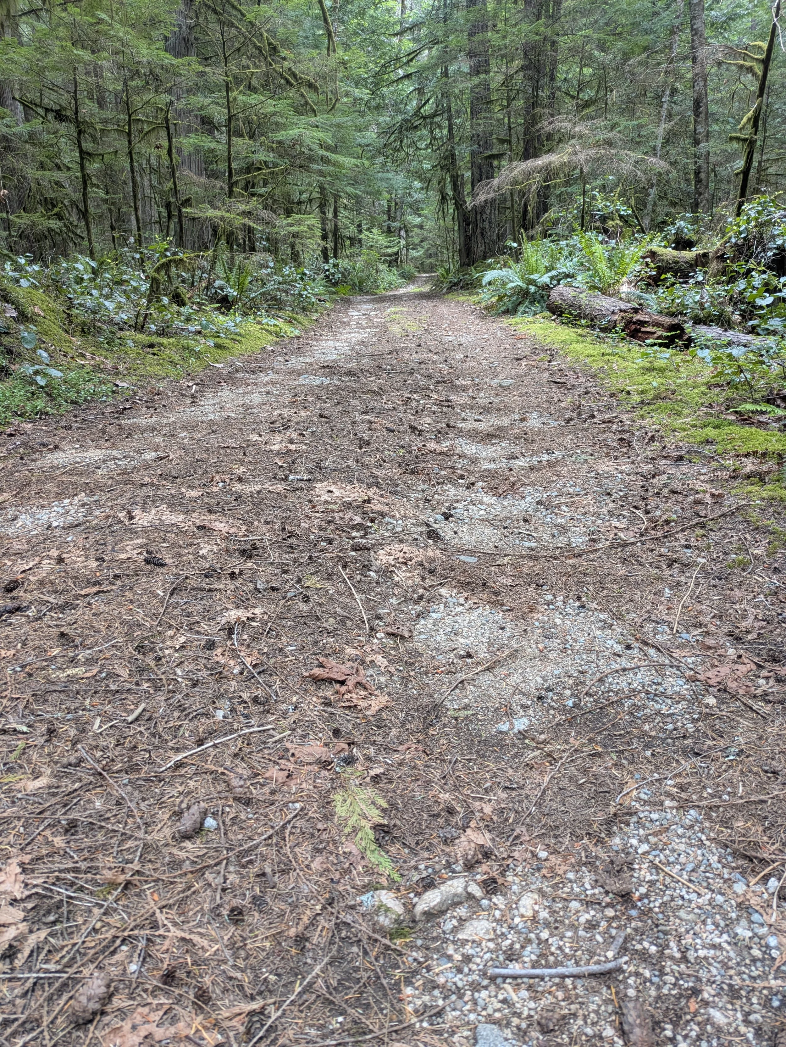 PXL_20260518_230651144.jpg