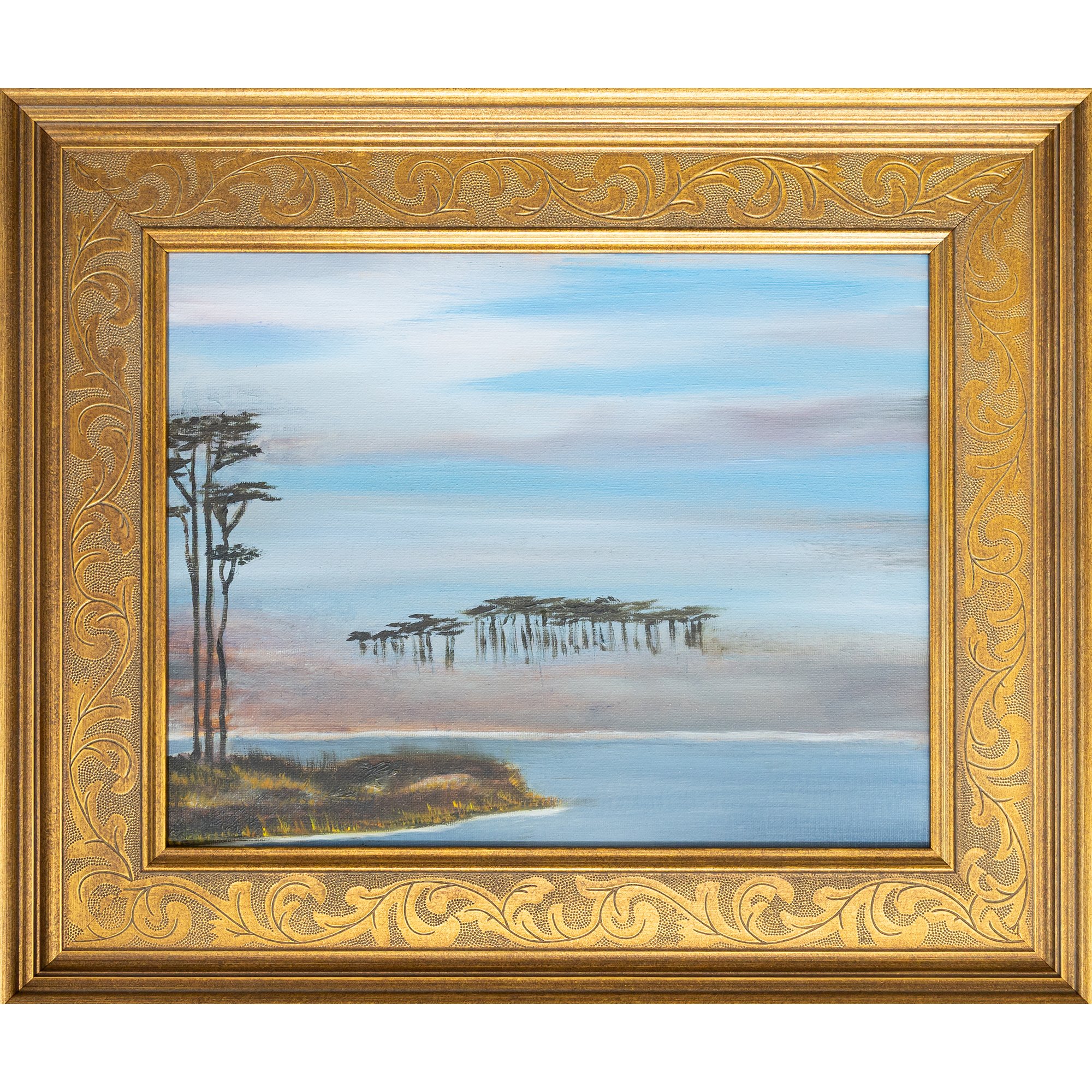 Western Lake Study