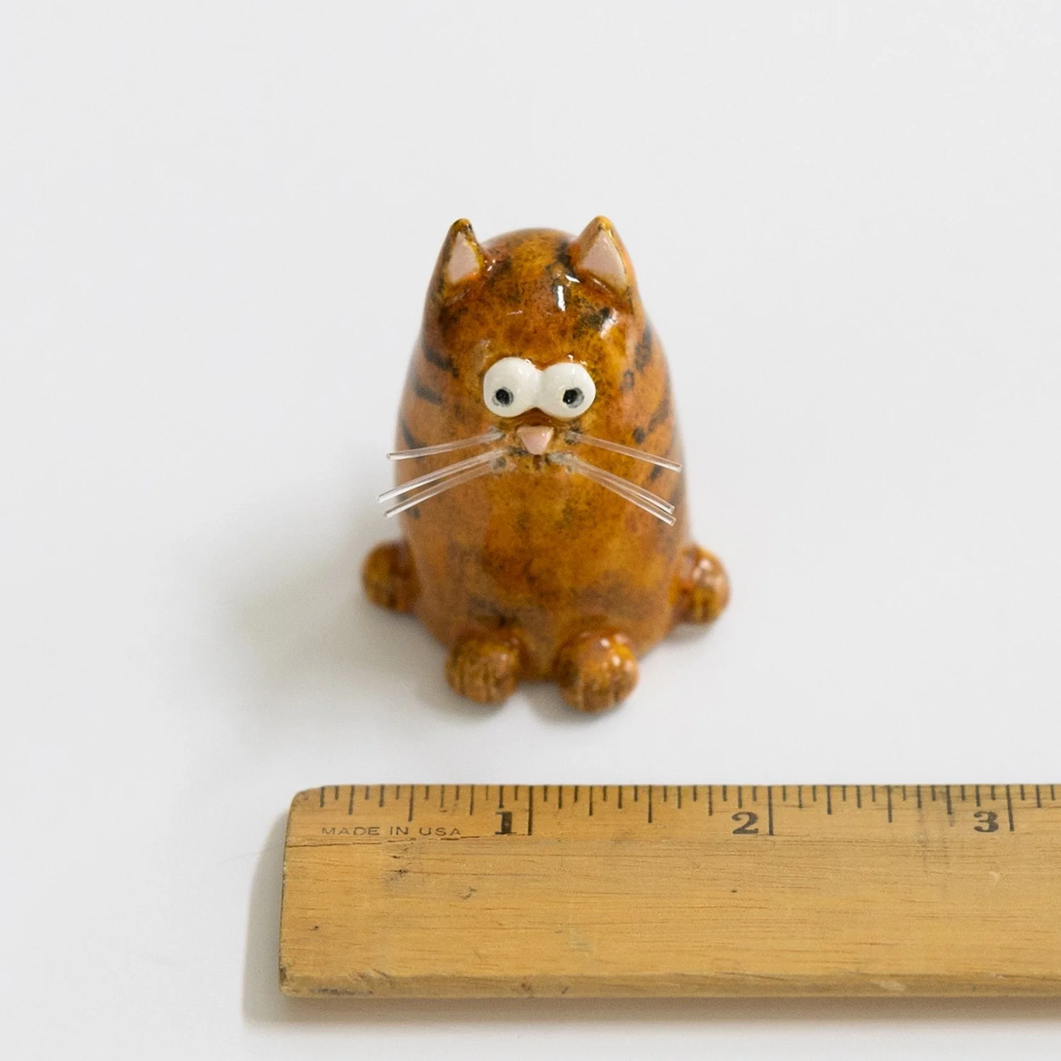 orange cat 2.jpg