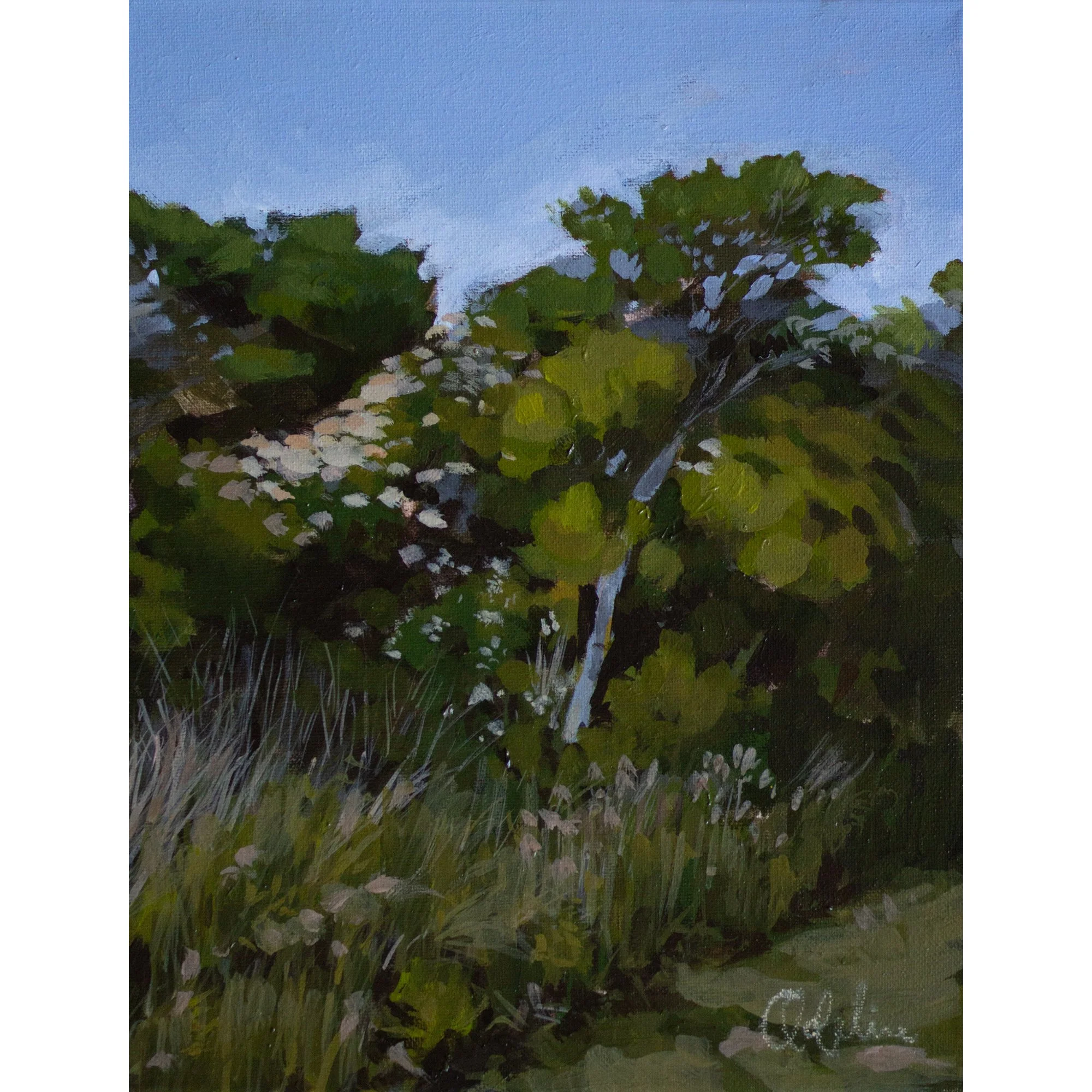 Sachuest Point 11x14.JPG