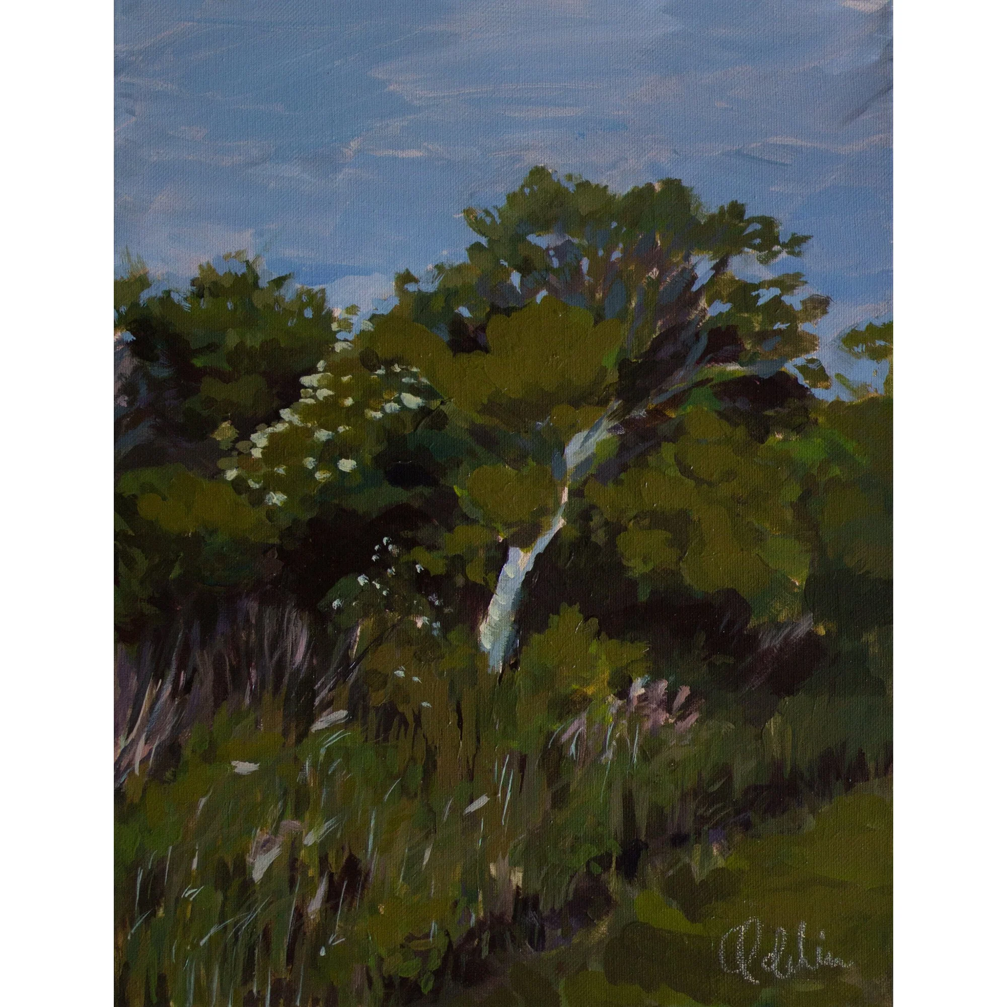 Rhode Island 11x14.JPG