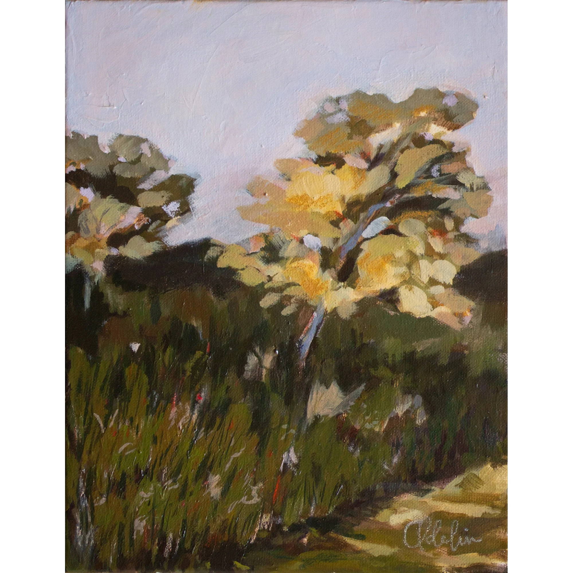 Warm Skies 11x14.JPG