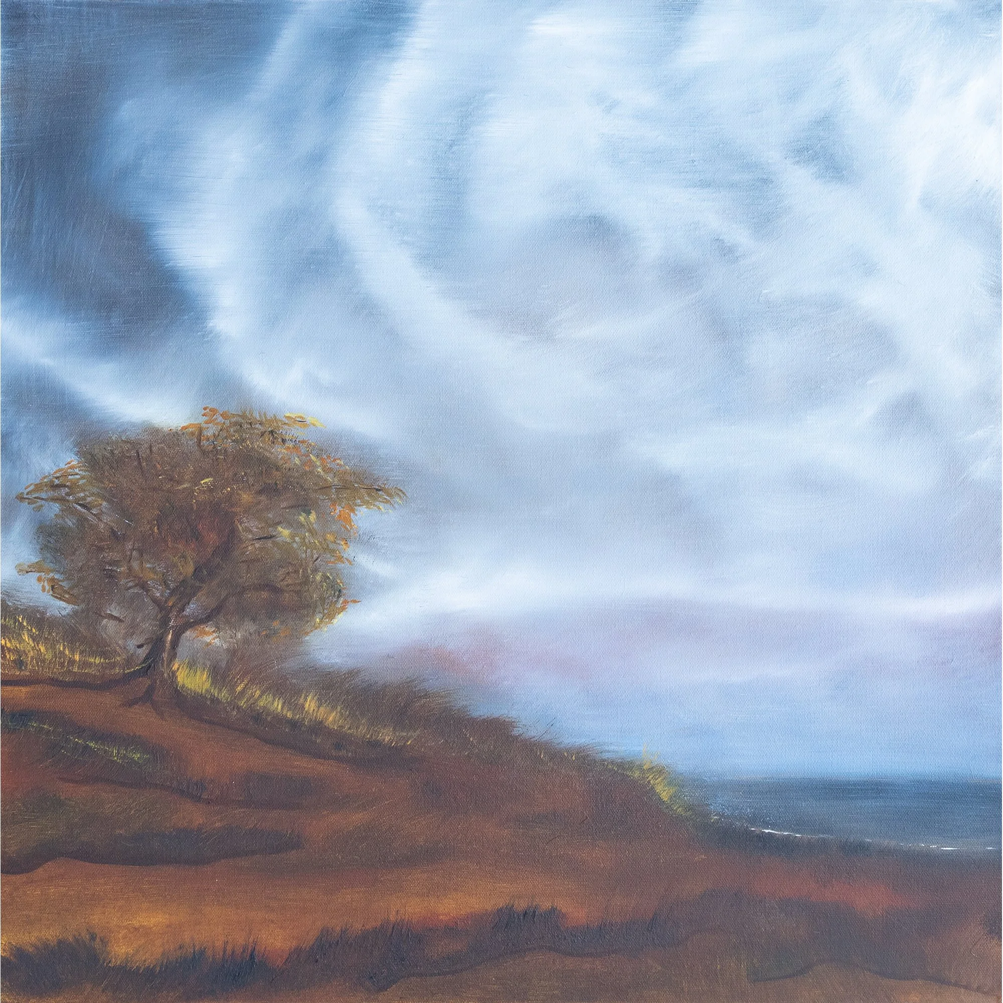 Windy Coast 24x24.jpg