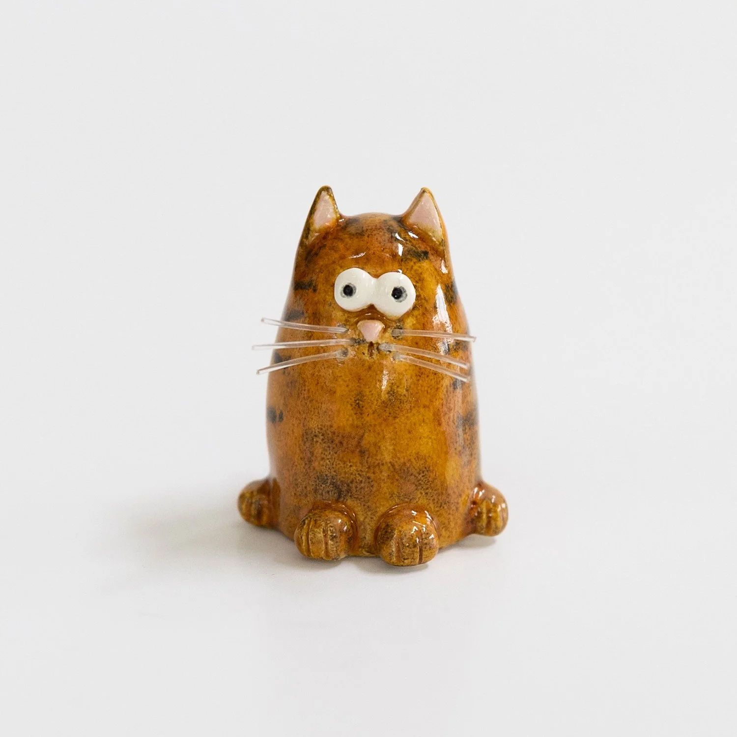 orange cat 1.jpg