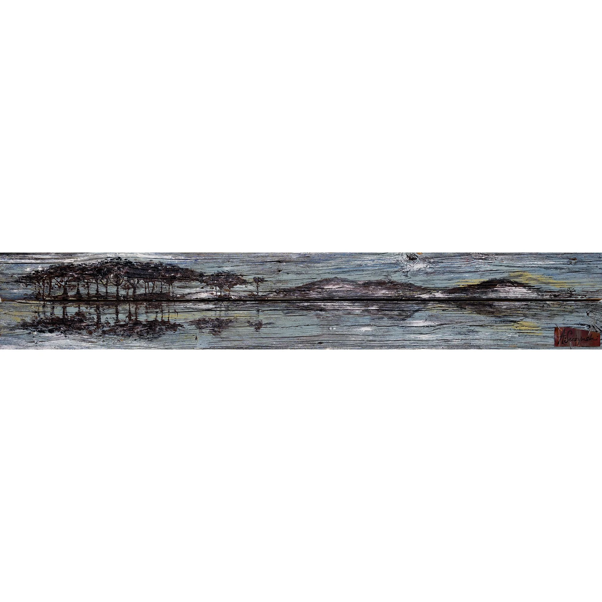 Rustic Western Lake 4 66x11 2011.jpg