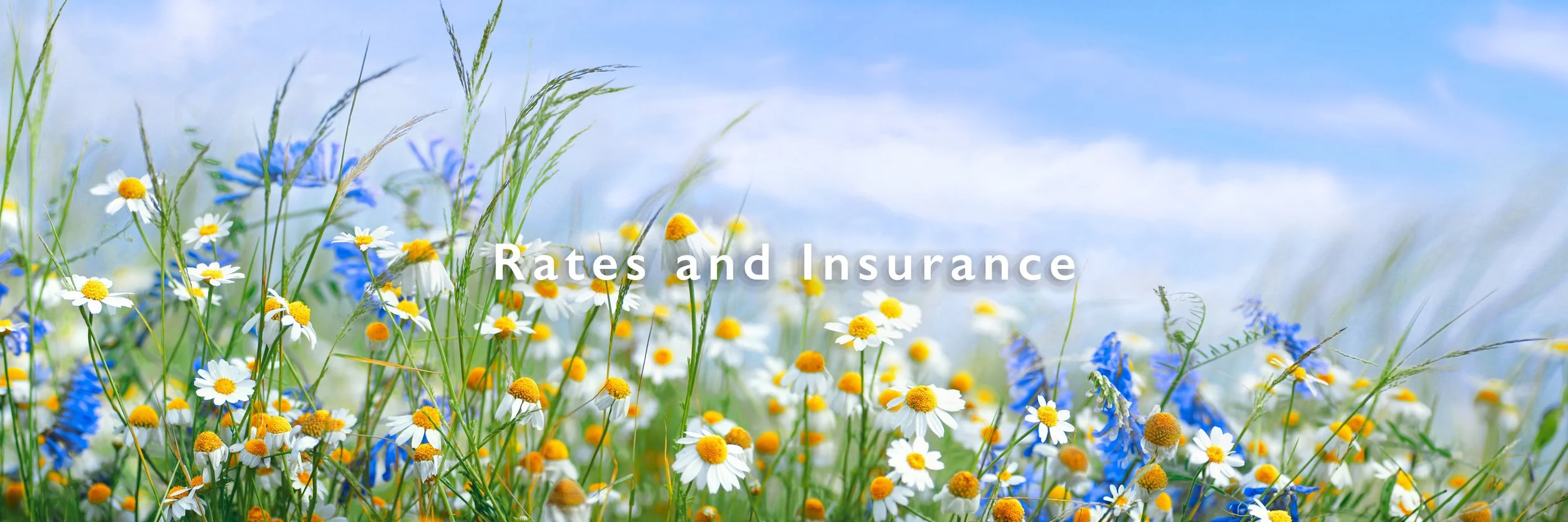A field of wildflowers with white daisies and blue flowers, under a light blue sky, with the text 'Rates and Insurance' overlaid.