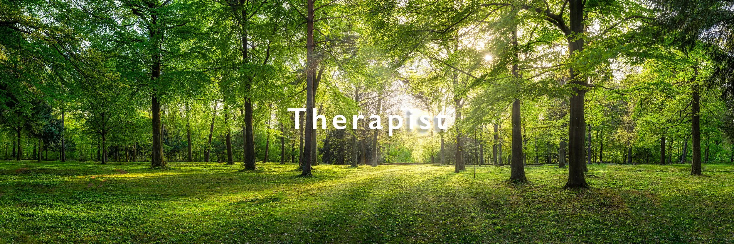 A sunlit forest with green trees and grass, with the word 'Therapist' in the center.