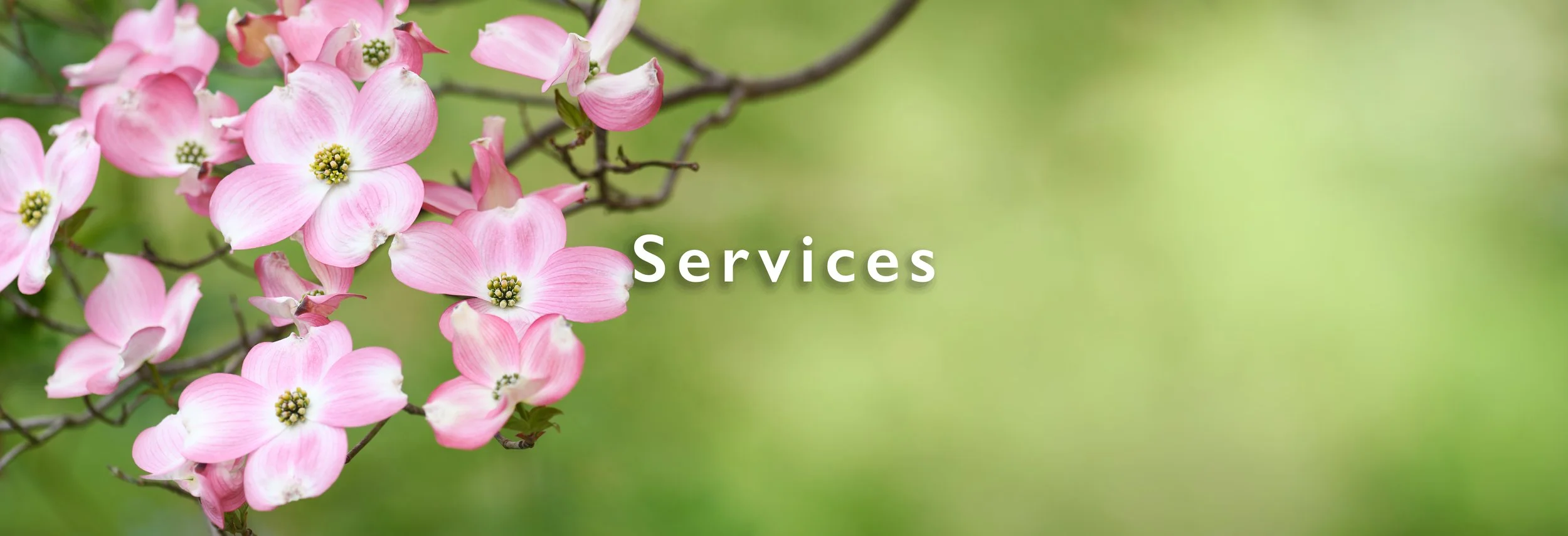 Pink dogwood flowers on a branch with a green blurred background and the word 'Services' in white text