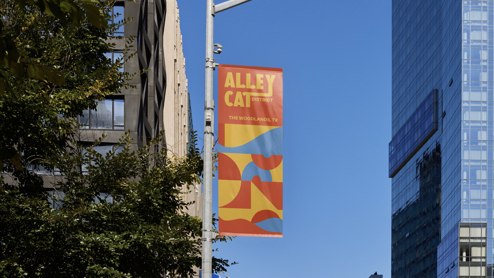 Screenshot 2026-03-12 at 10.03.43 AM.png