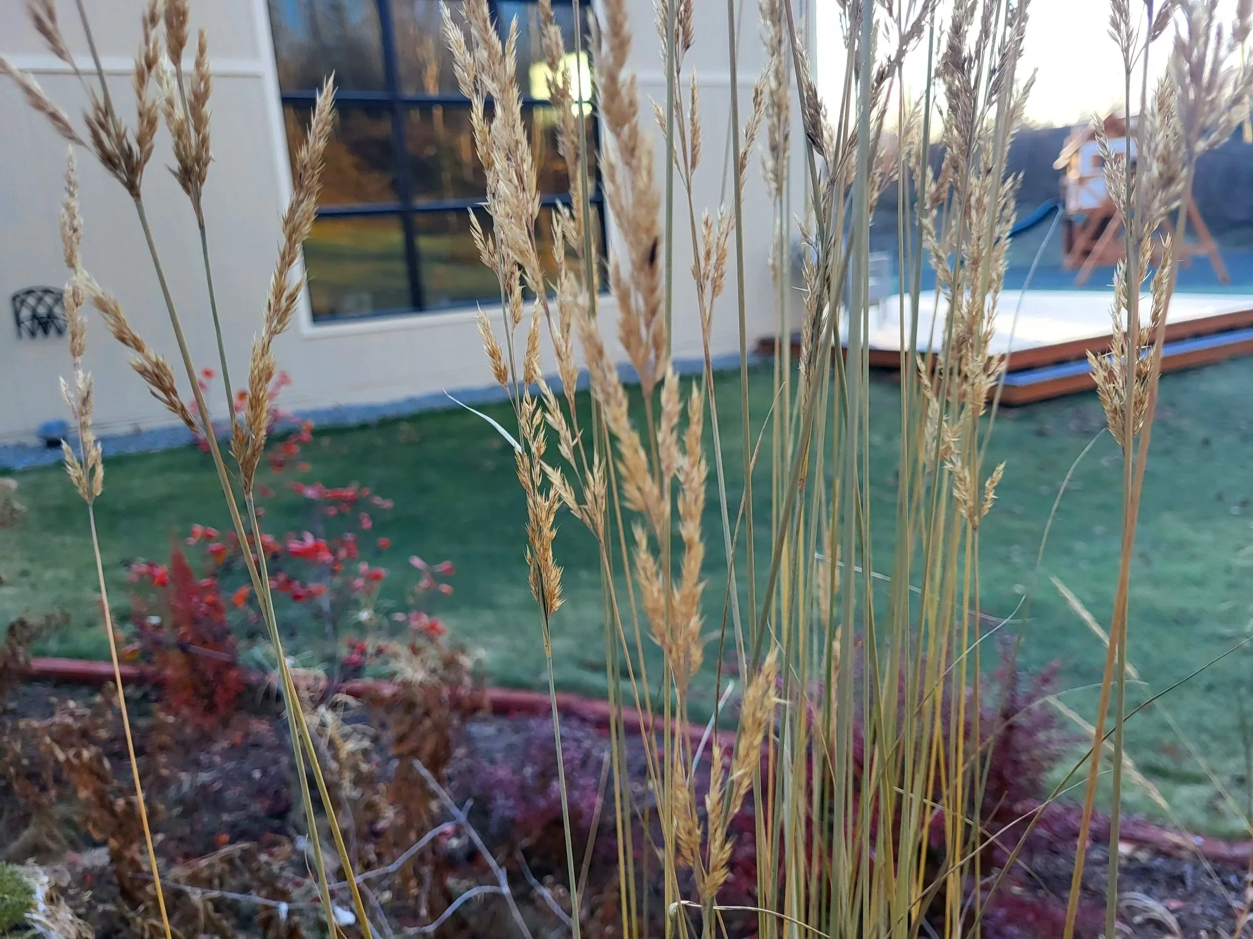 20231021_101907.jpg