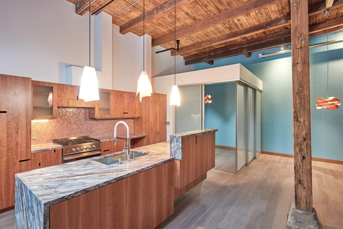 Modern kitchen - The Reservoir Dogs Townhouse Lofts