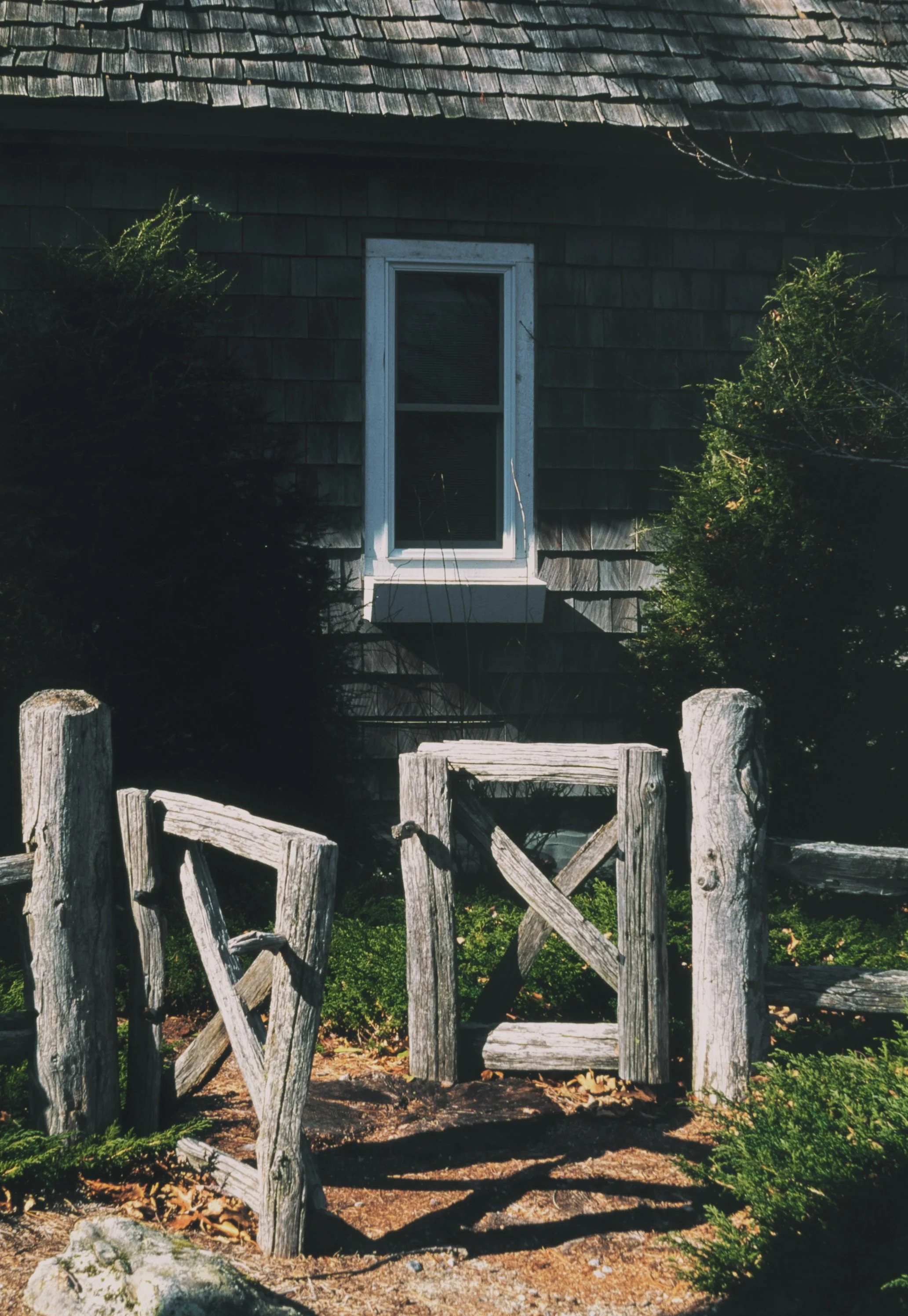 Greene%20Design-2691-positive_VSCO.JPG