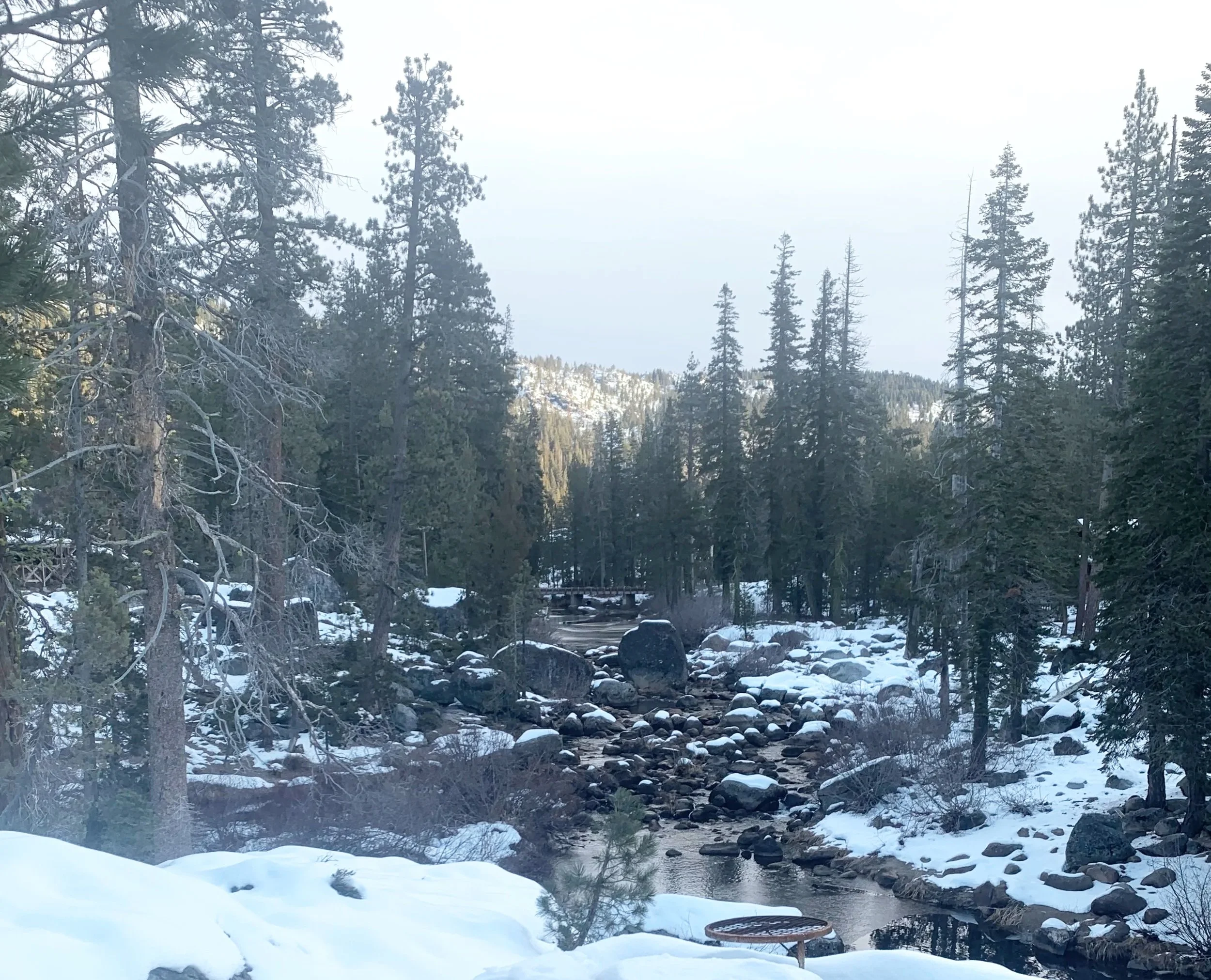 Snow-covered river flowing through a forest of tall pine trees with mountain in the background.