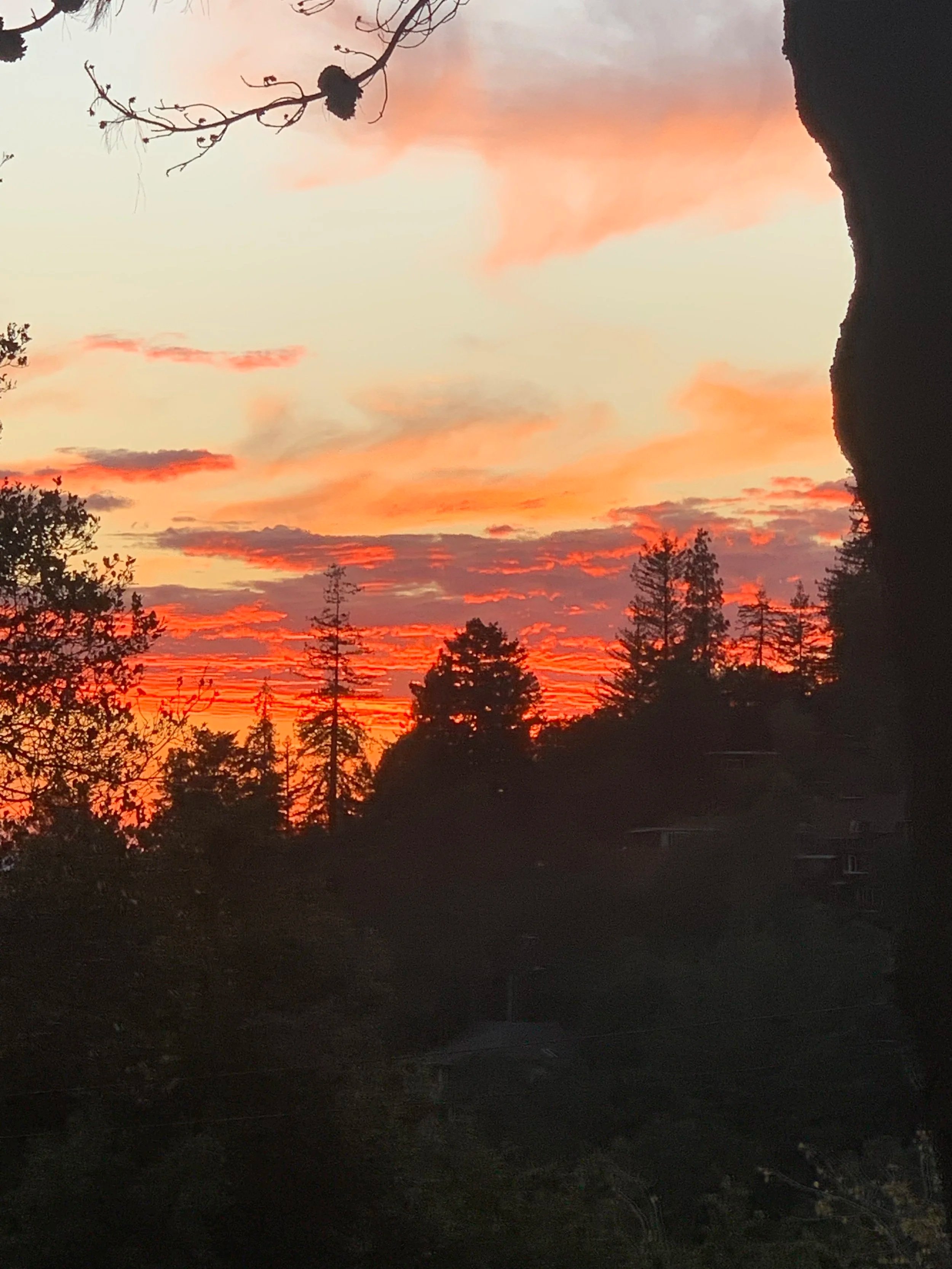 Sunset sky with orange and pink clouds over a silhouette of trees and landscape.