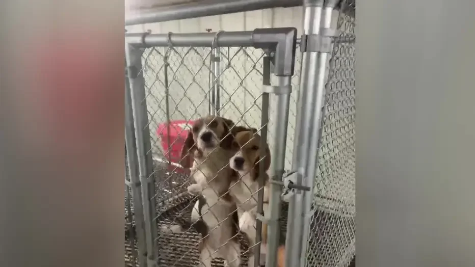 BREAKING THE LAW WON’T FIX IT.