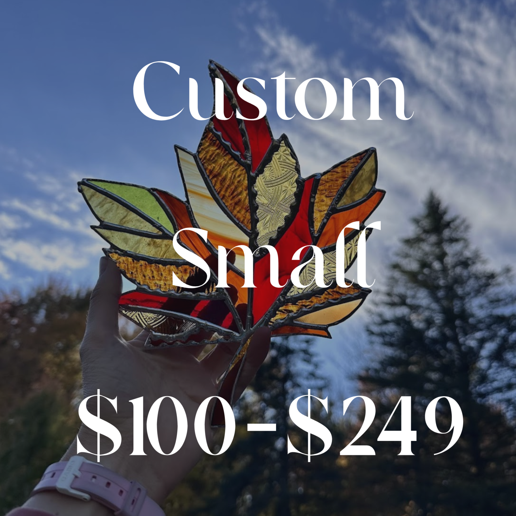 Custom Small - $100-$249
