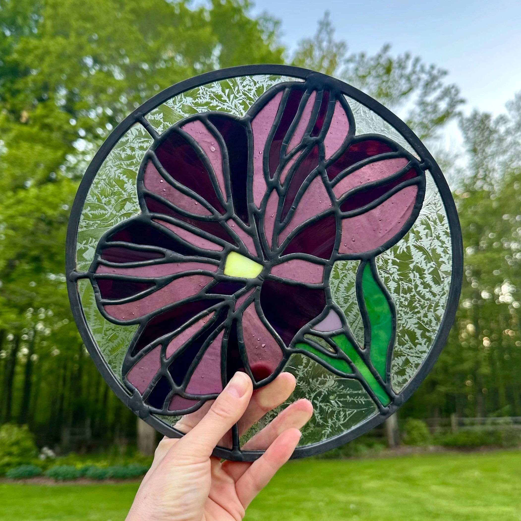 Phlox.jpg