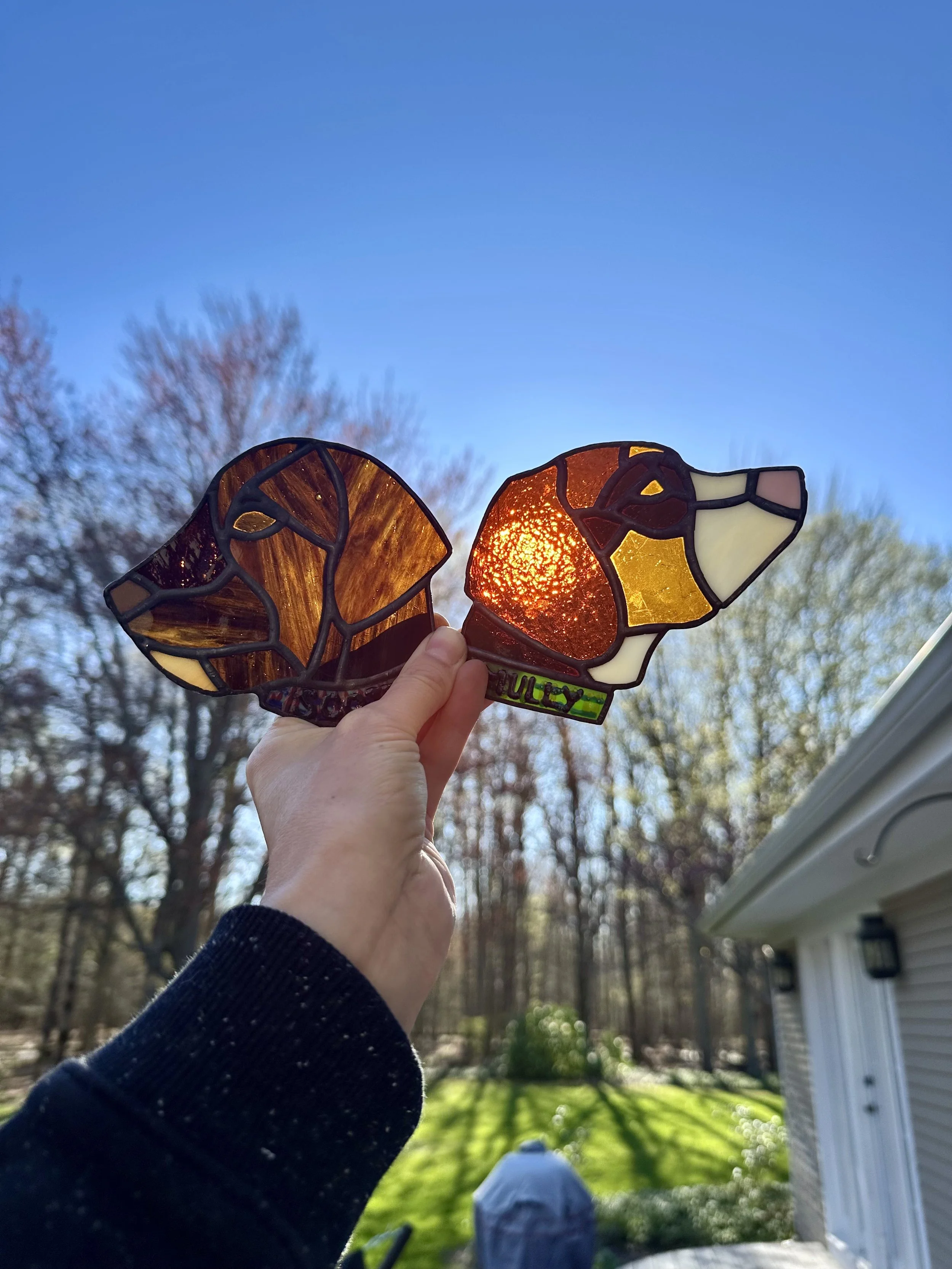 Pet - Custom