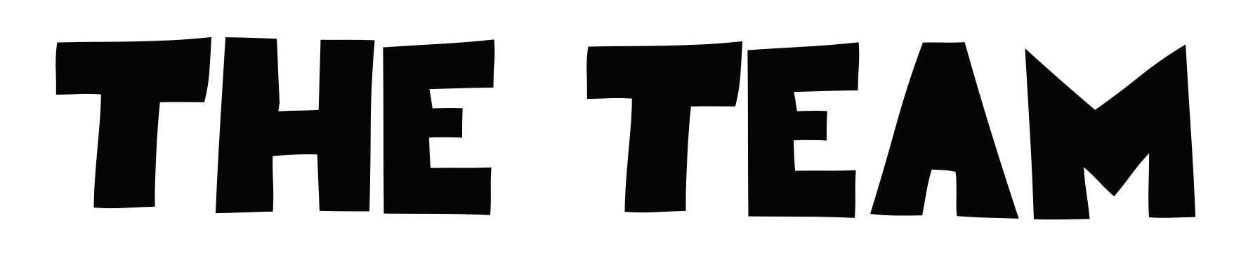 Black text that reads 'THE TEAM' in large, bold letters.