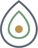 Abstract illustration of an avocado with seed.