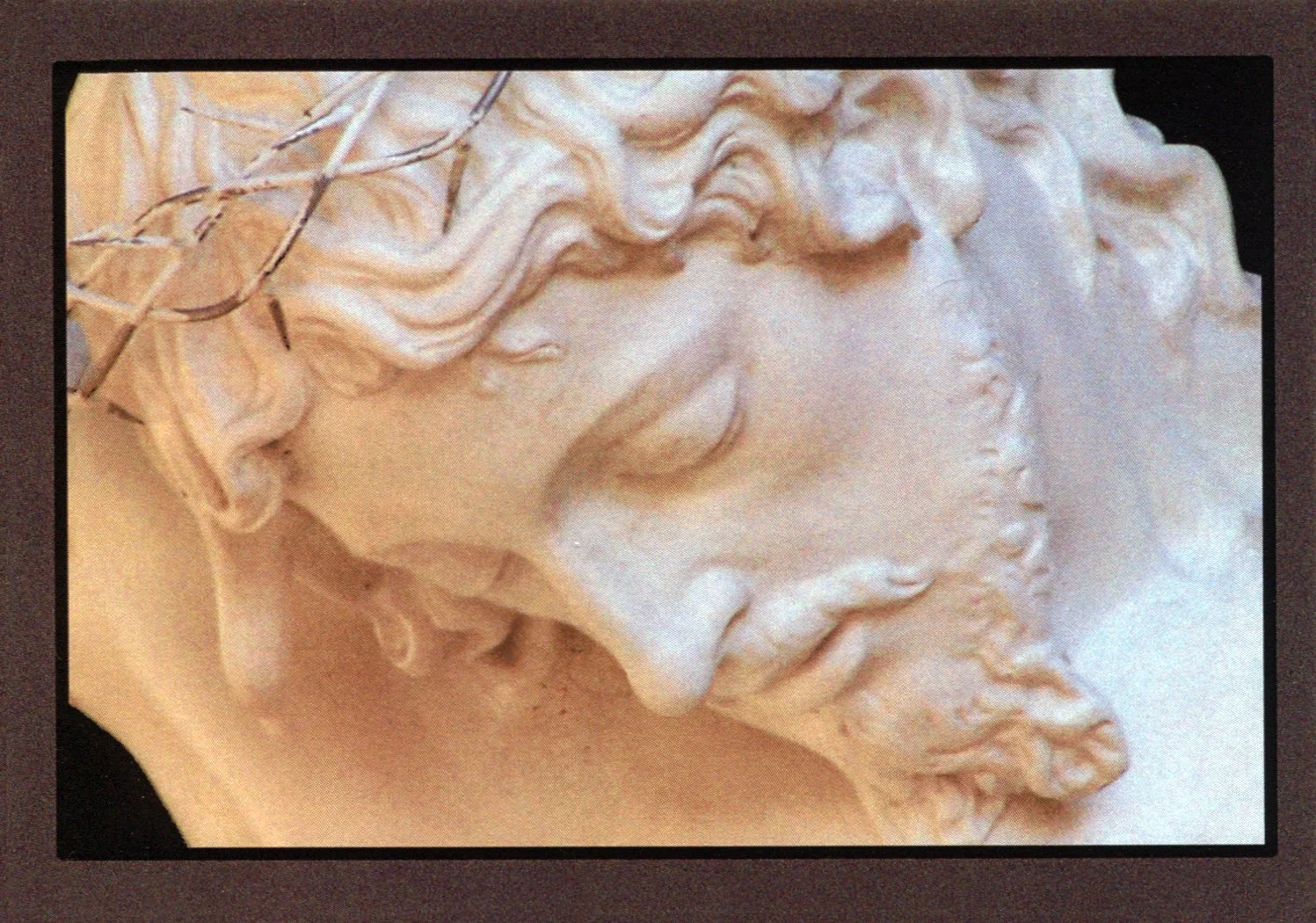 Sacred Head Holy Card