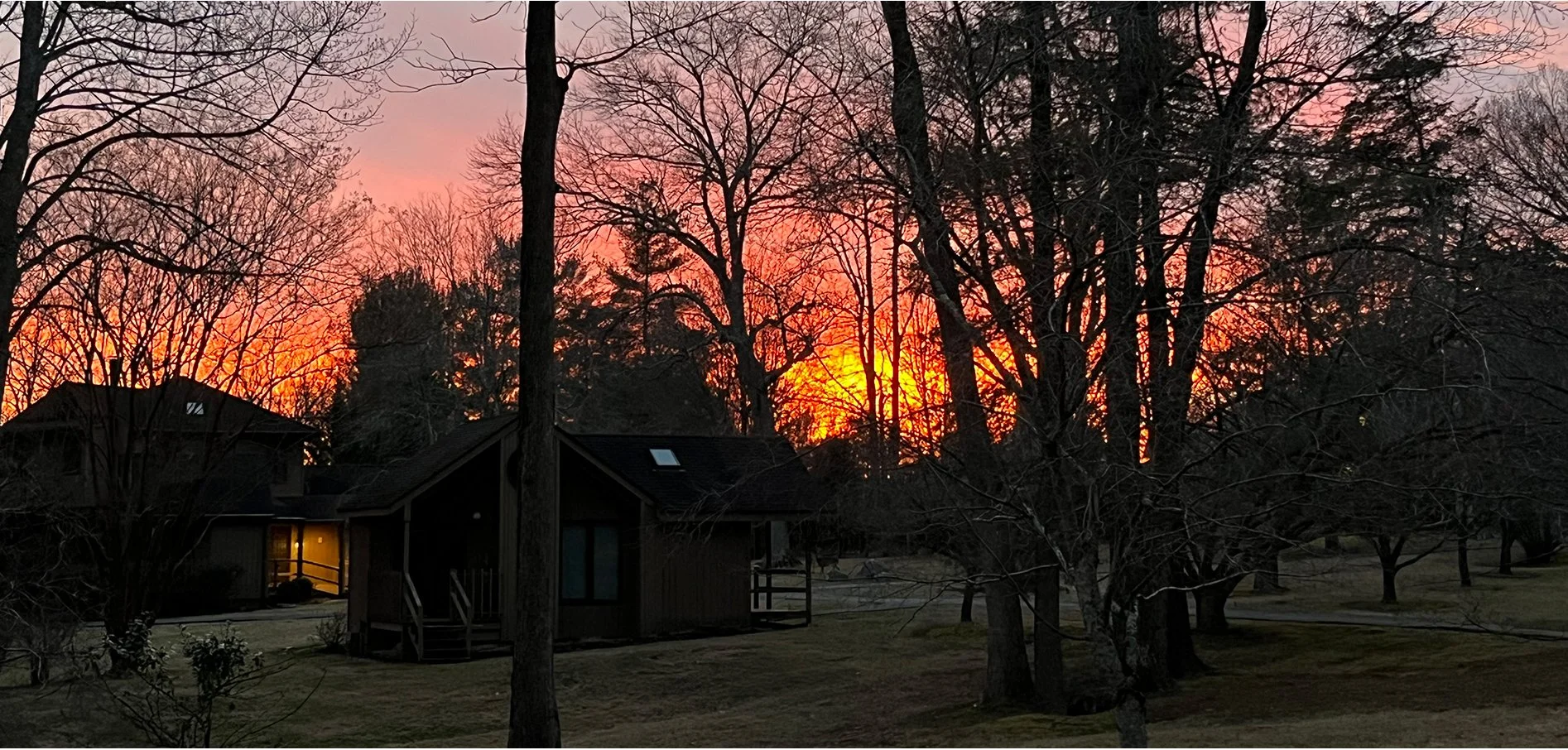 Sunset with orange, pink, and purple hues behind a silhouette of leafless trees and houses in a suburban neighborhood.