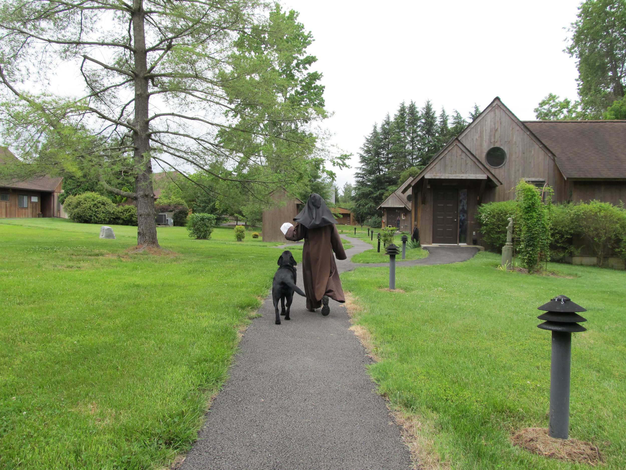 A person dressed as a nun walking a black dog on a leash along a paved path in a grassy park area with houses and trees in the background.
