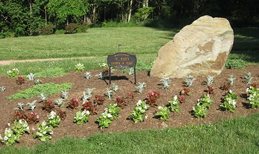 A flower garden with various plants, a large rock, and a small sign in the background on a sunny day.