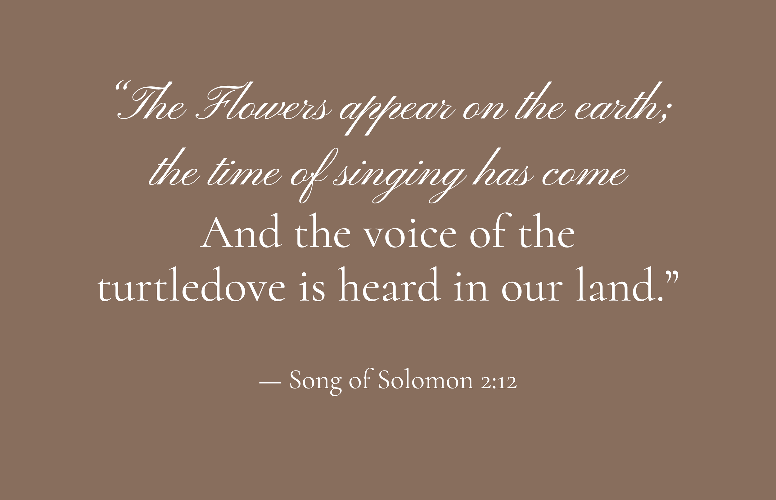 A quote from Song of Solomon 2:12 about the appearance of flowers and the voice of the turtle dove, on a brown background with elegant white cursive text.