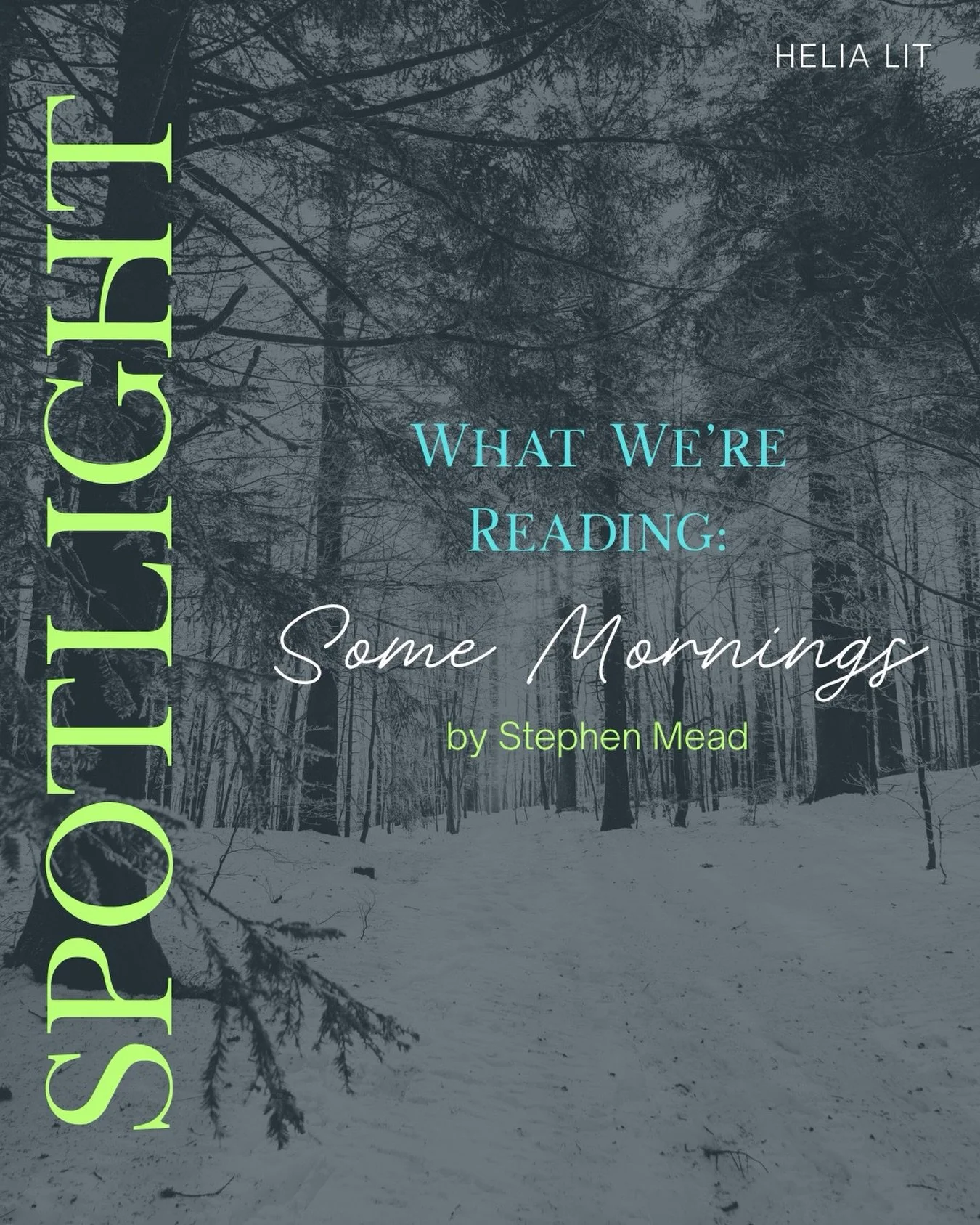 On Helia Lit: &ldquo;Some Mornings&rdquo; by Stephen Mead.

This is a late-winter poem that finds the sacred in an office parking lot: a wild turkey trotting past the gas station, bare branches rising &ldquo;like antlers in a ceremony,&rdquo; a whole