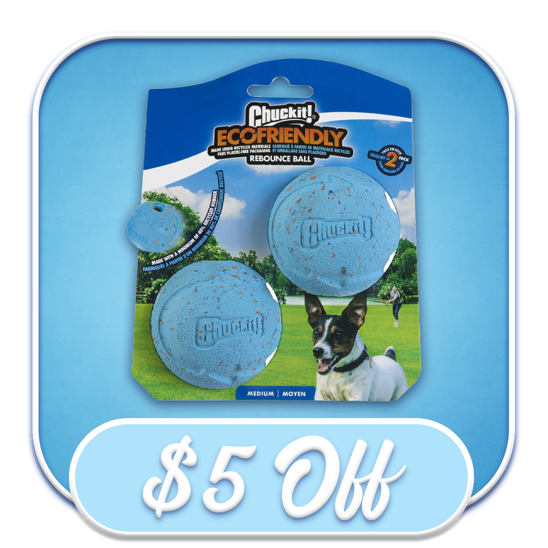 #30901 Chuck It - Eco-Friendly Rebounce Ball 2pk
