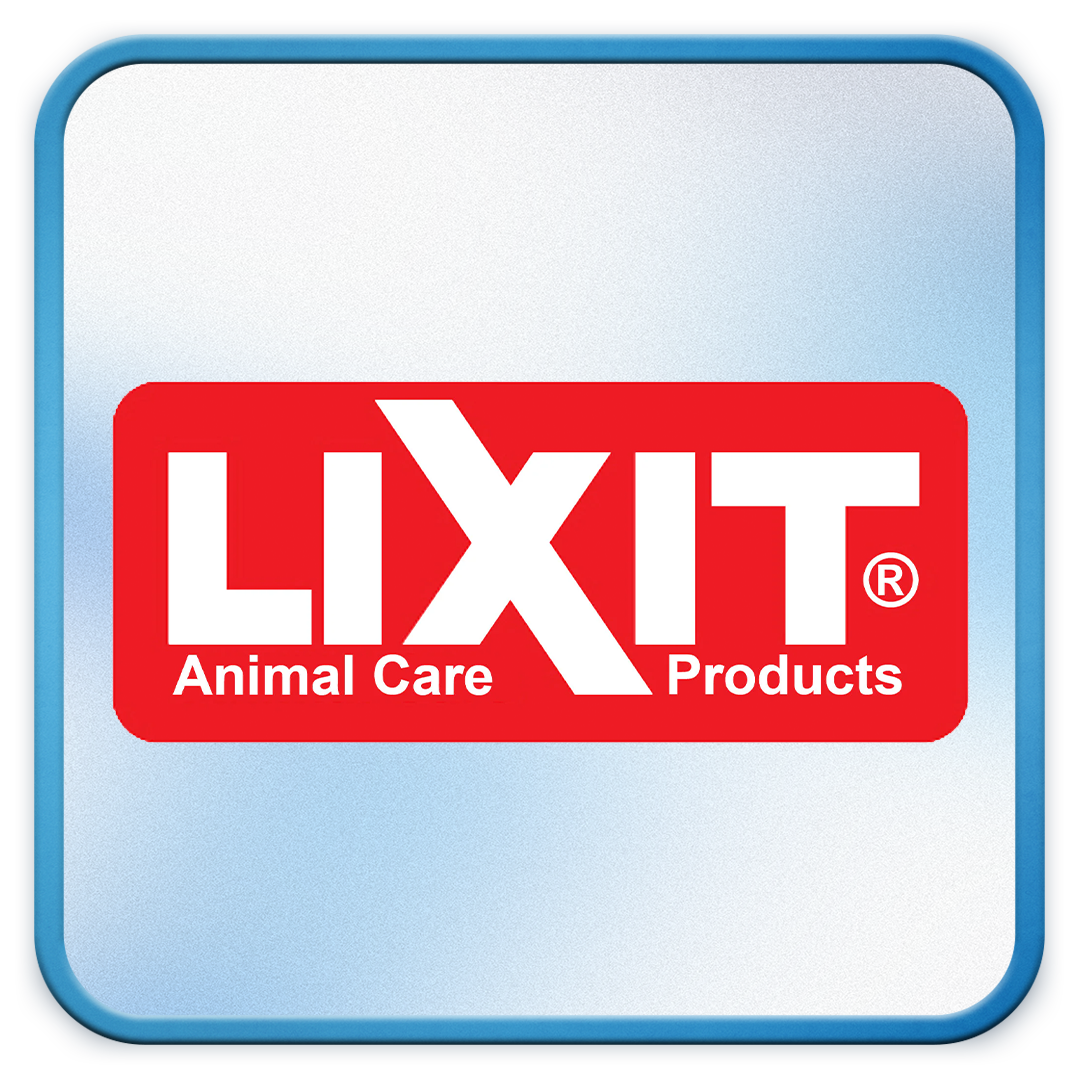 LixIt Logo.png