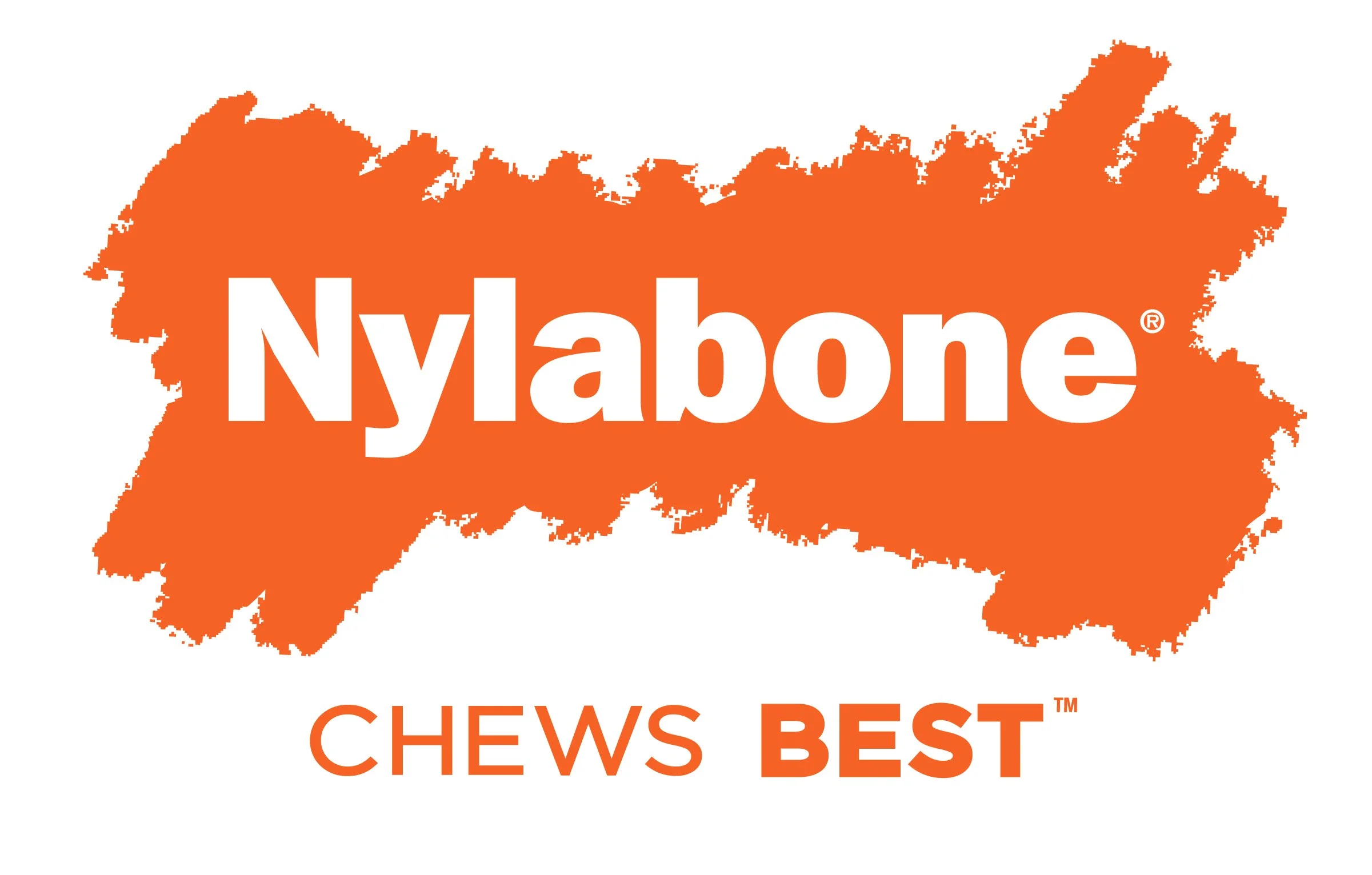 Nylabone.jpeg