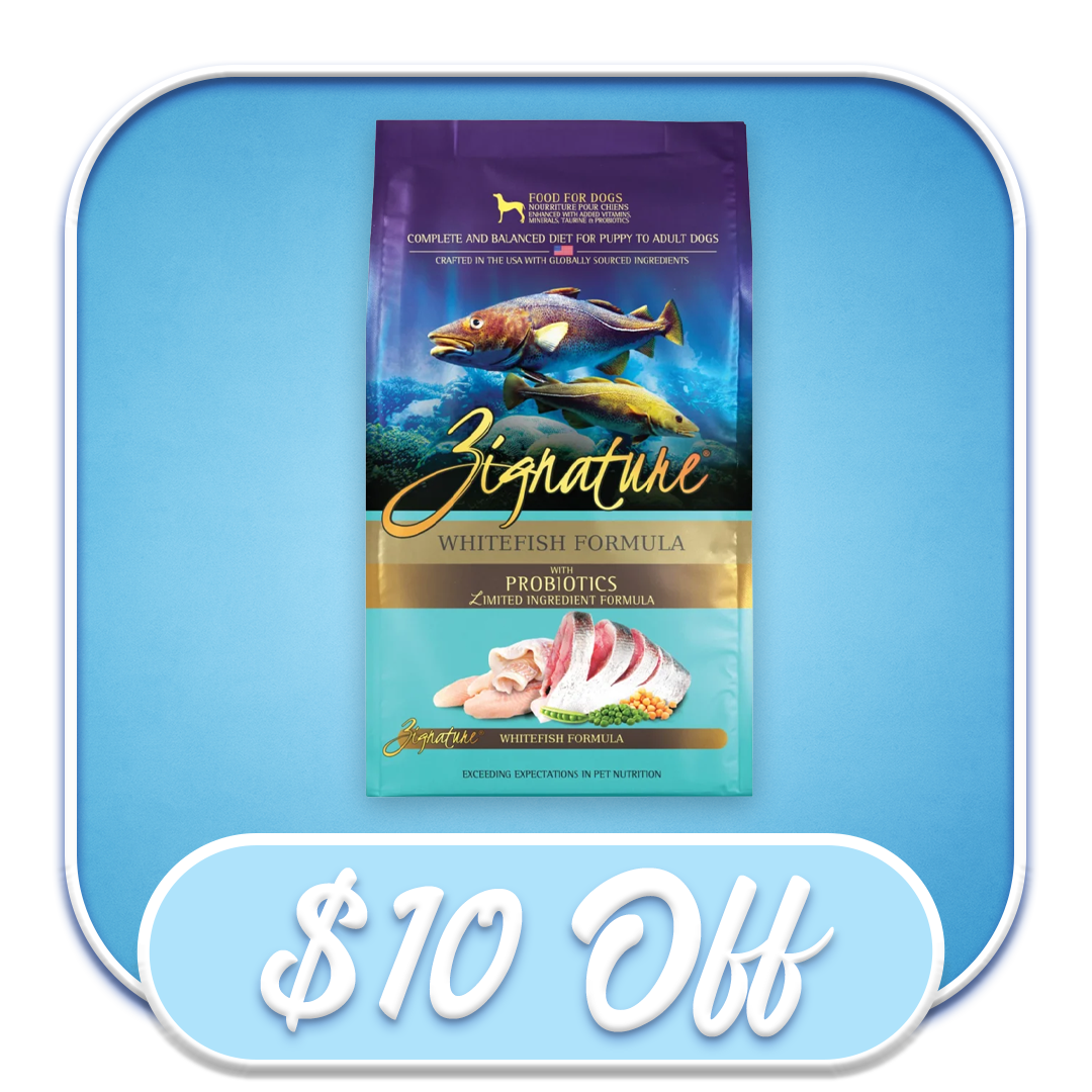 FLAVOR OF THE MONTH: #36057 Zignature - Whitefish Dry Dog Diet 25lb